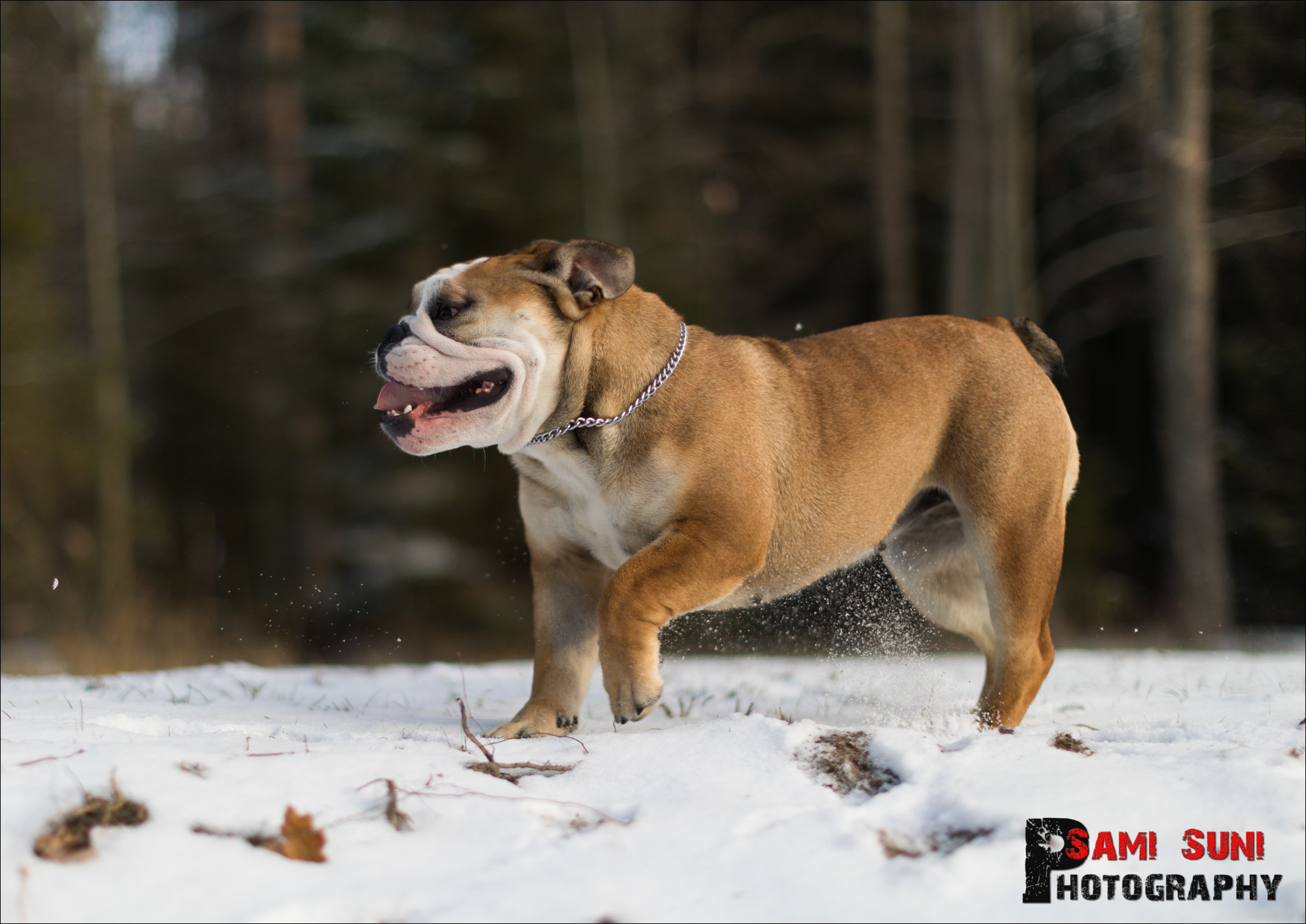 Canon EF 50mm F1.2L USM sample photo. Ga photography
