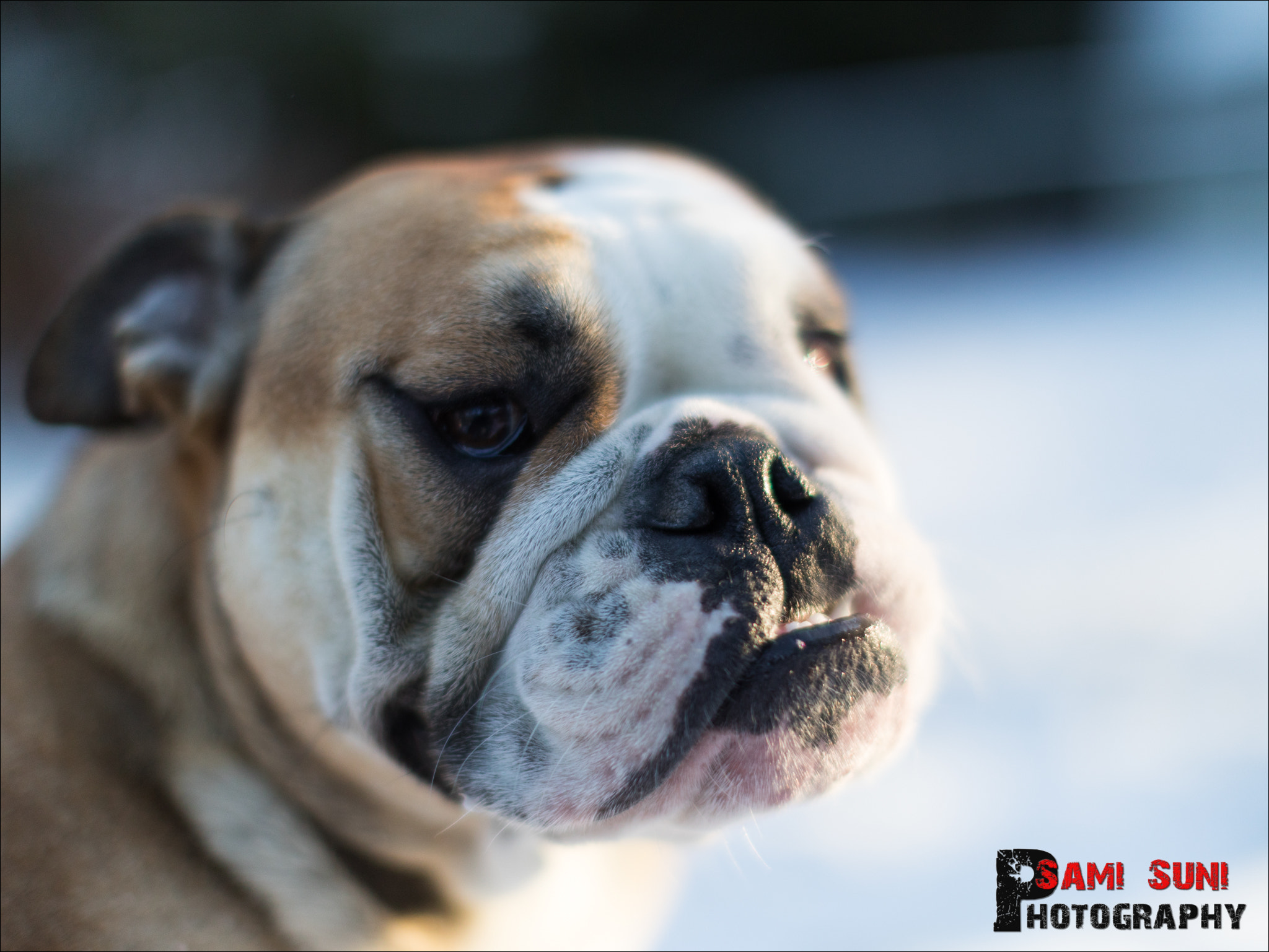 Canon EF 50mm F1.2L USM sample photo. Ga photography