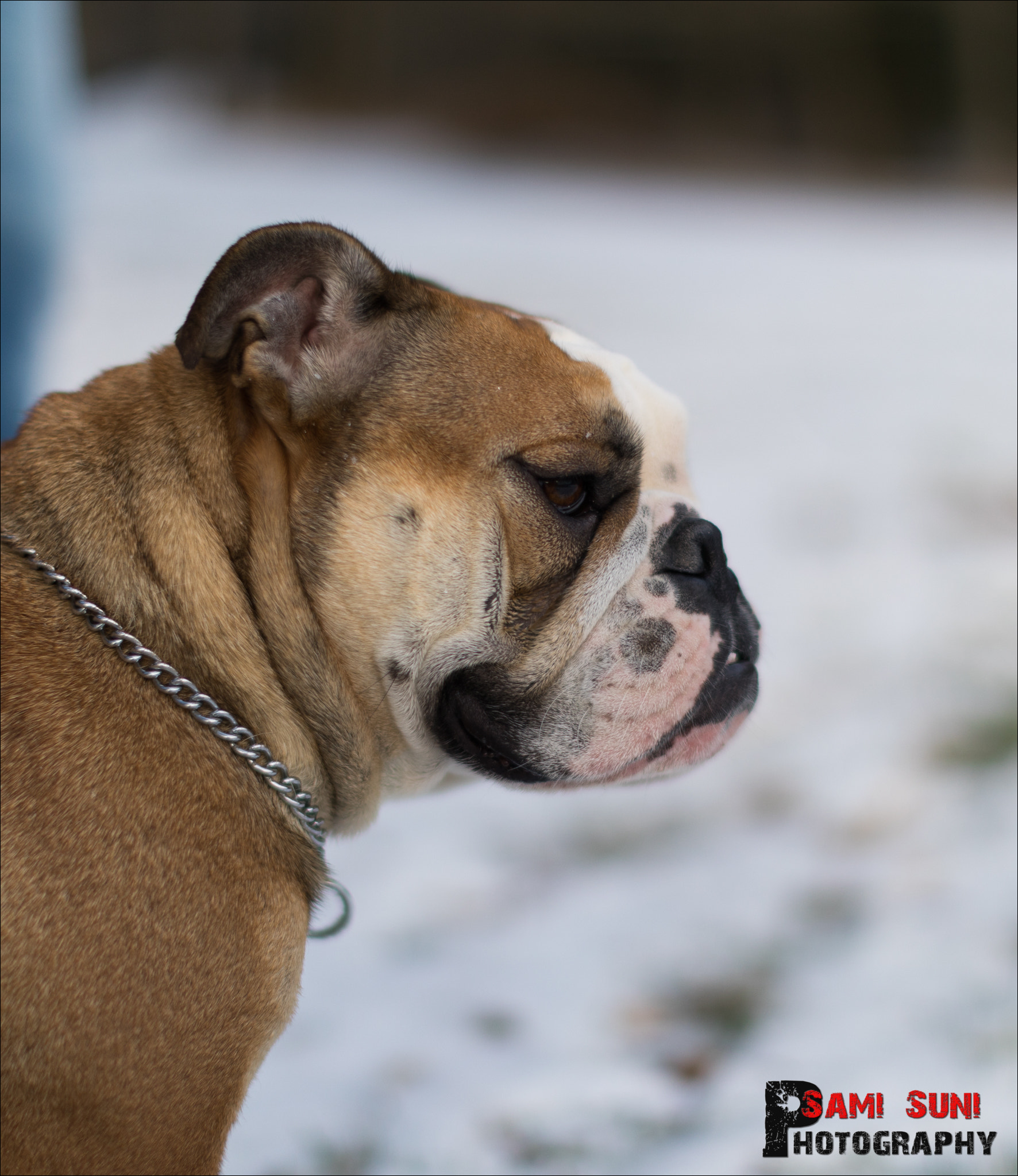 Canon EF 50mm F1.2L USM sample photo. _g7a0362-2.jpg photography
