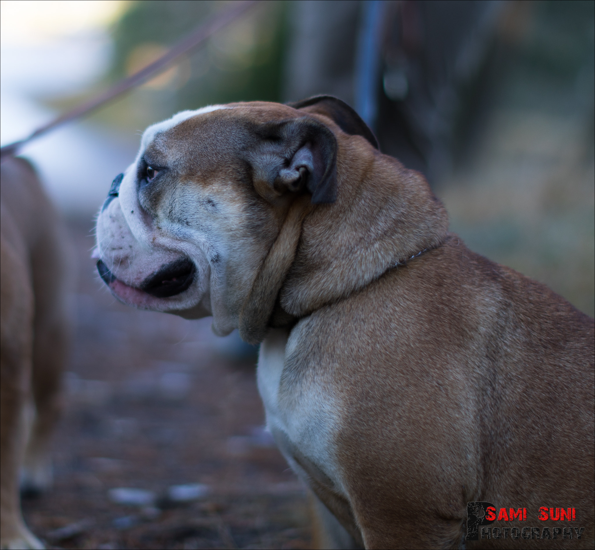 Canon EF 50mm F1.2L USM sample photo. Ga photography