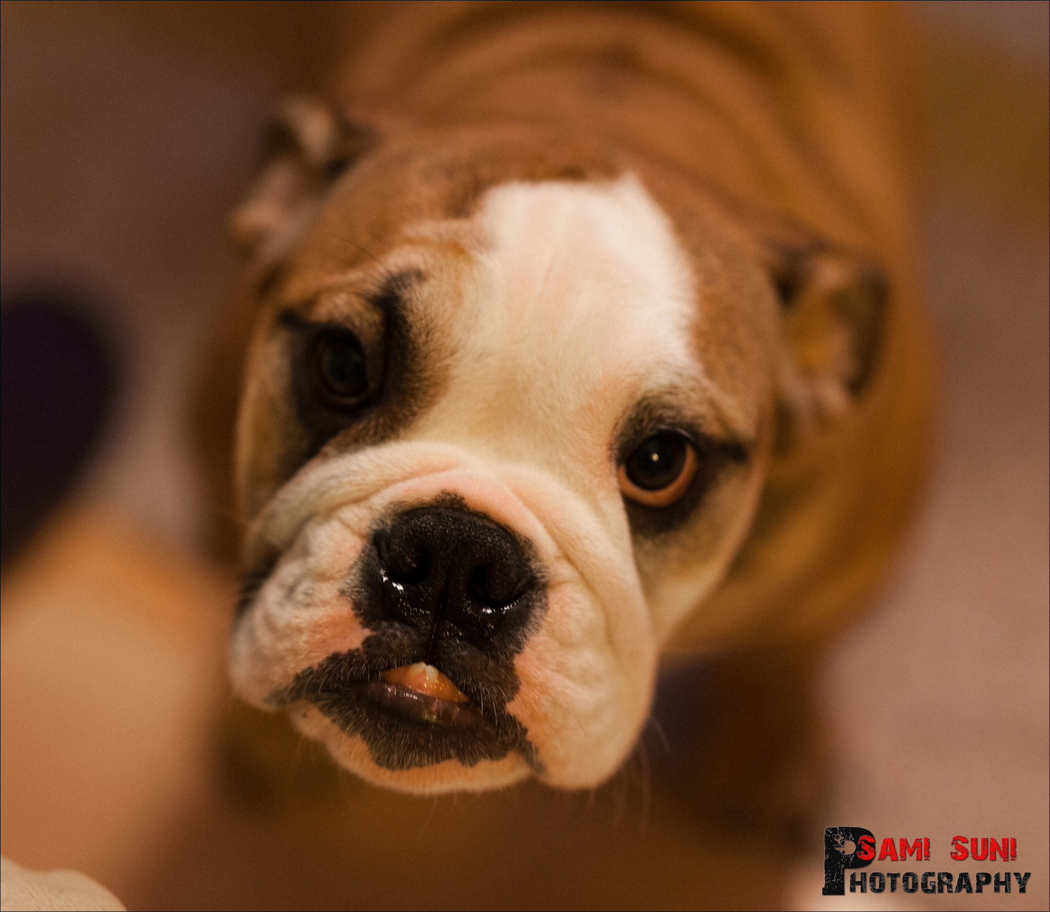 Sigma 50mm F1.4 EX DG HSM sample photo. () photography