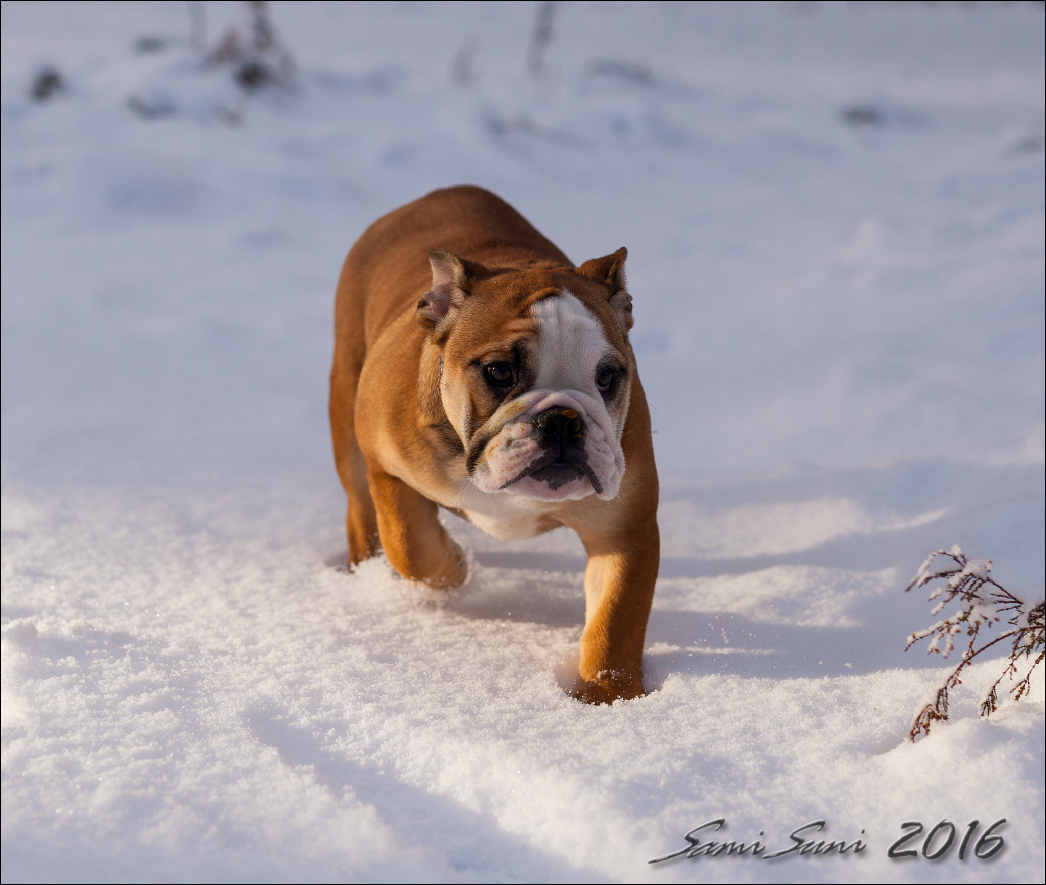 Sigma 50mm F1.4 EX DG HSM sample photo. () photography