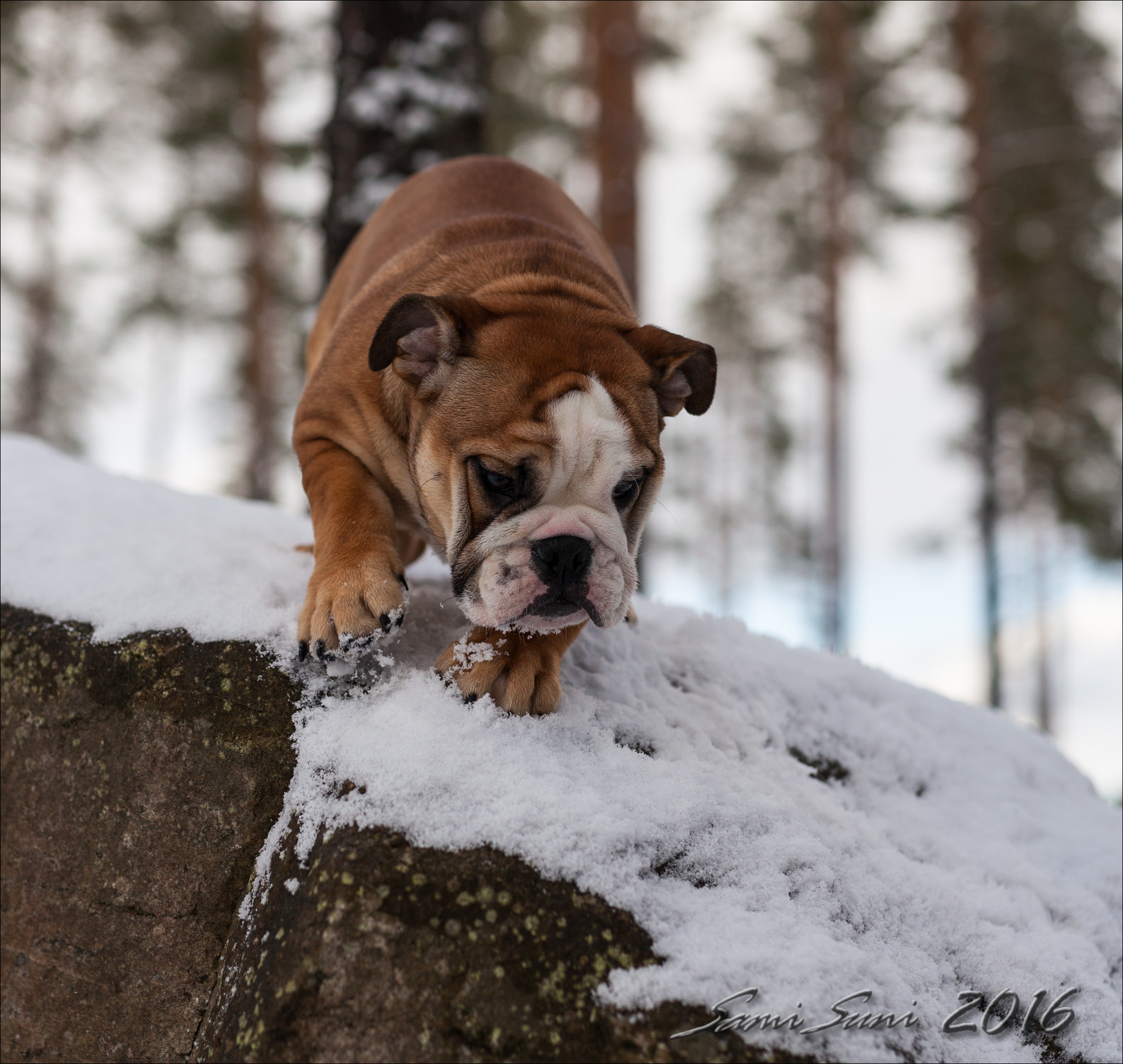Sigma 50mm F1.4 EX DG HSM sample photo. () photography