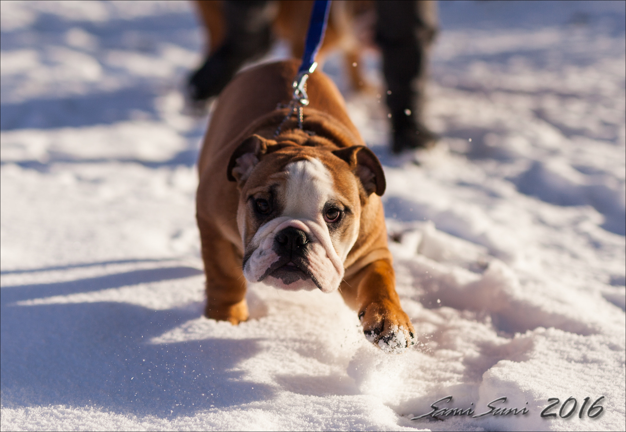 Sigma 50mm F1.4 EX DG HSM sample photo. () photography
