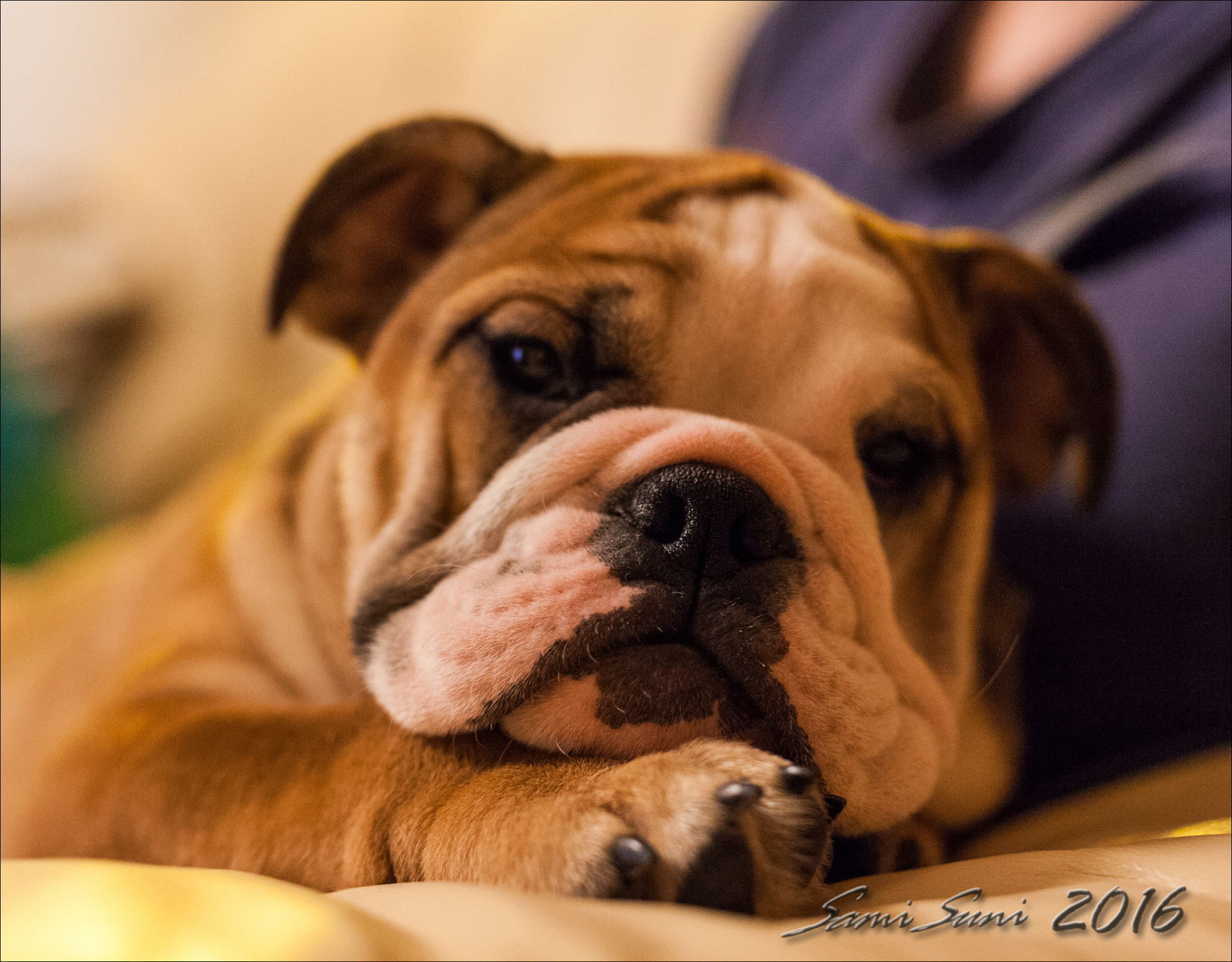 Sigma 50mm F1.4 EX DG HSM sample photo. () photography