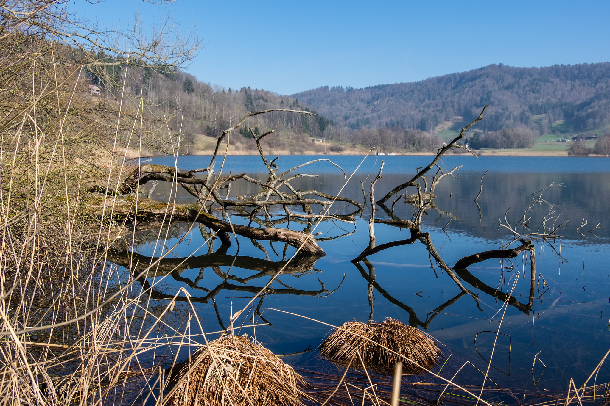 Fujifilm X-T10 + Fujifilm XF 18-135mm F3.5-5.6 R LM OIS WR sample photo. Türlersee photography