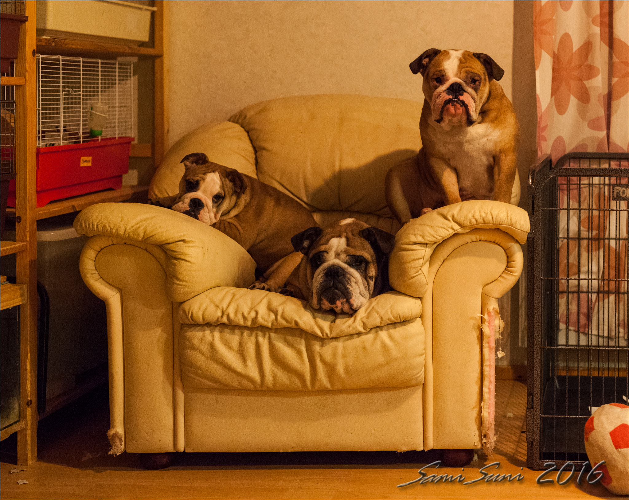 Sigma 50mm F1.4 EX DG HSM sample photo. () photography