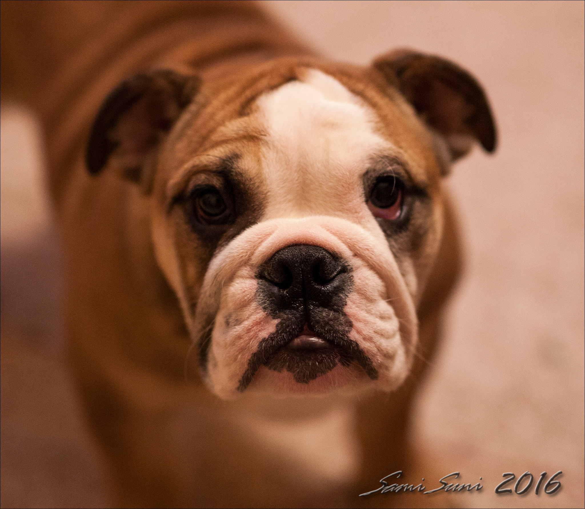 Sigma 50mm F1.4 EX DG HSM sample photo. () photography