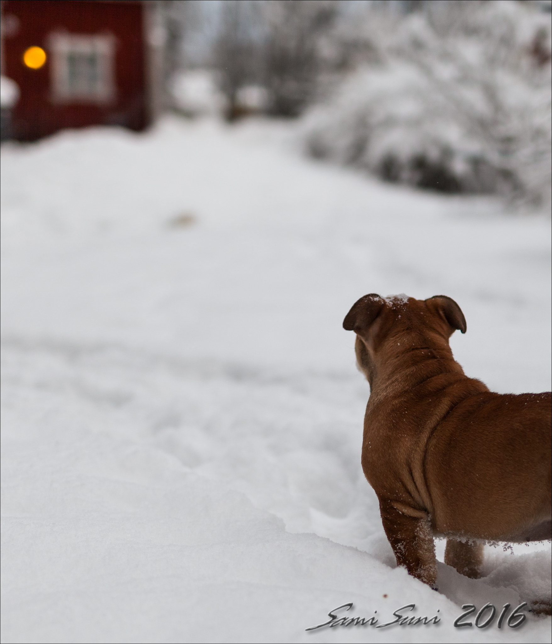 ZEISS Milvus 50mm F1.4 sample photo. () photography