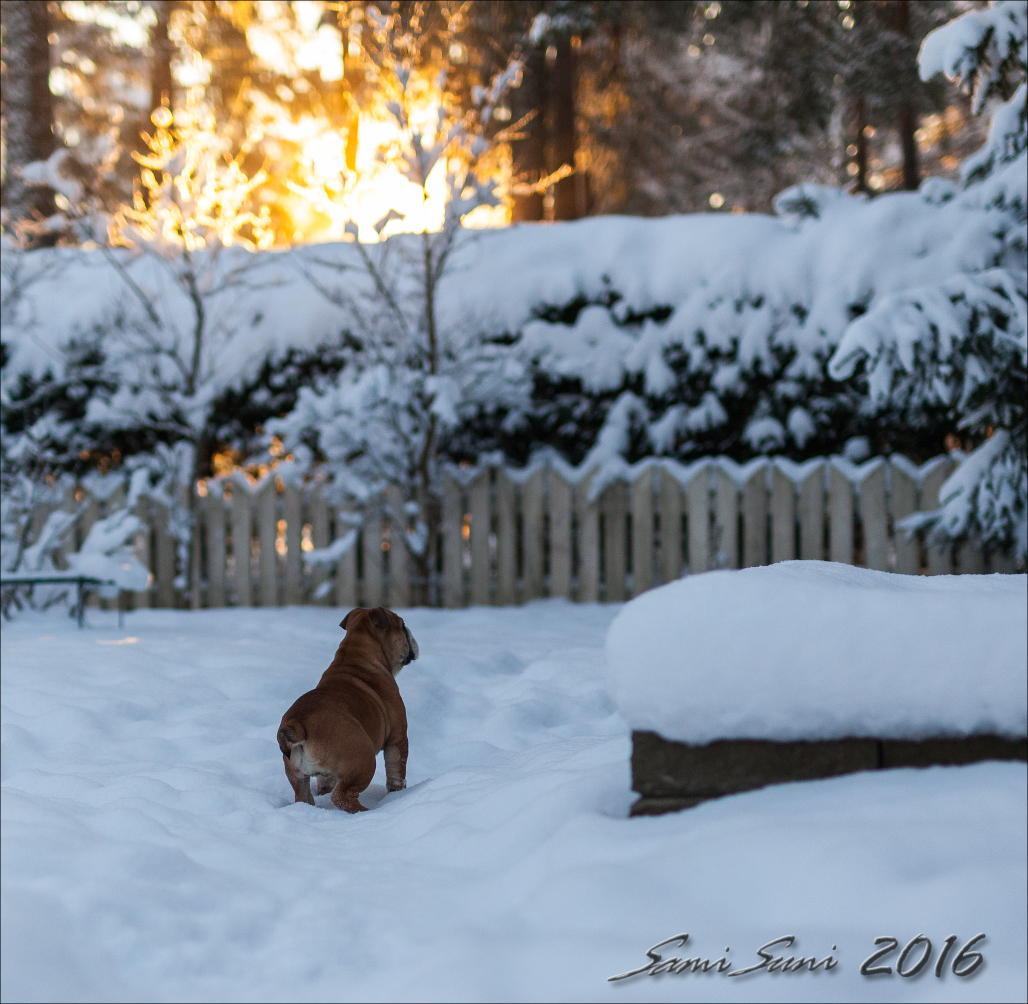 ZEISS Milvus 50mm F1.4 sample photo. () photography