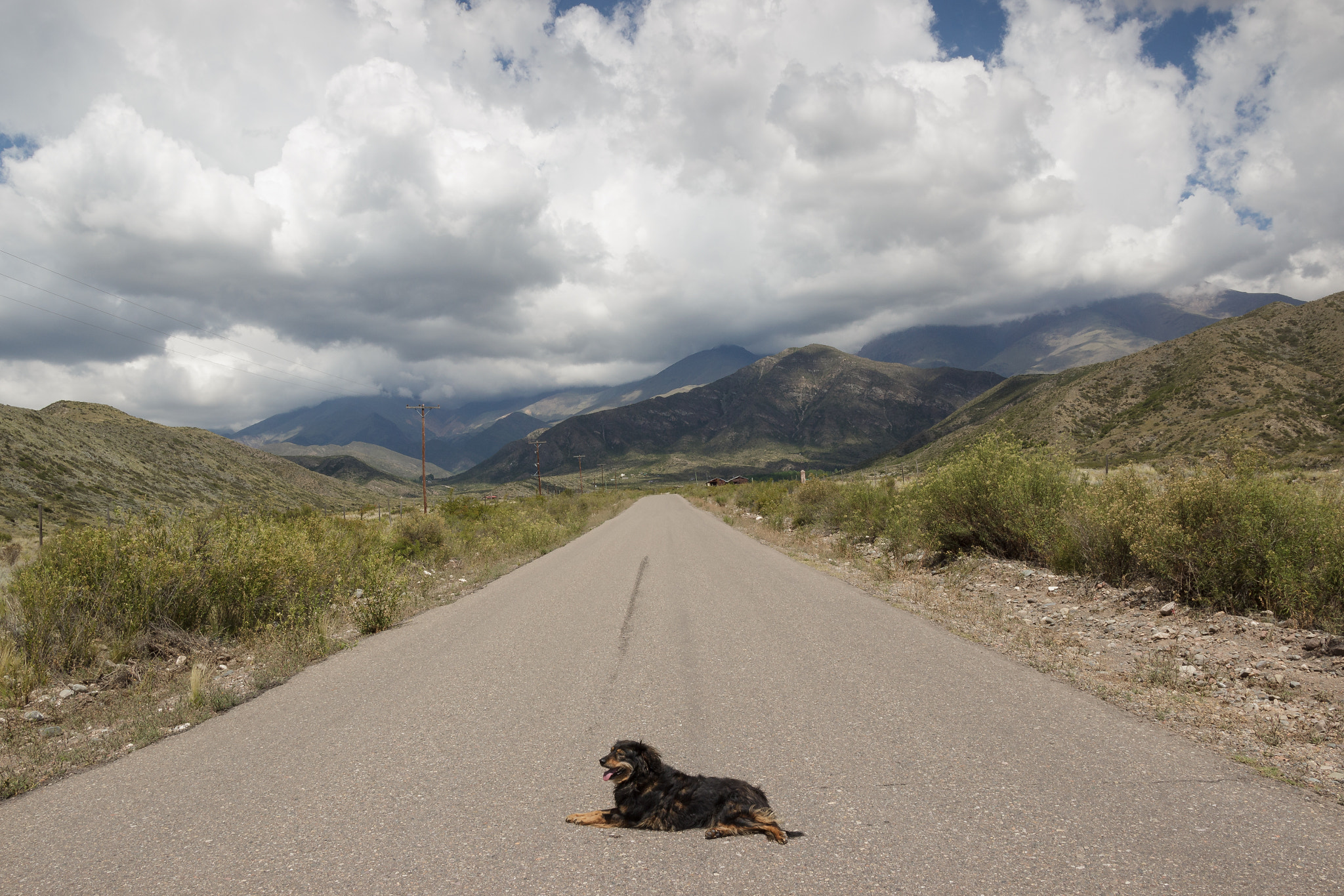 Canon EOS 600D (Rebel EOS T3i / EOS Kiss X5) sample photo. Dana, guardiana de los andes. photography