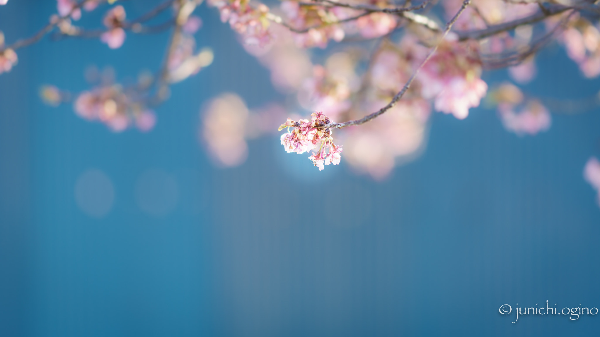 Sony Sonnar T* 135mm F1.8 ZA sample photo. Loved me photography