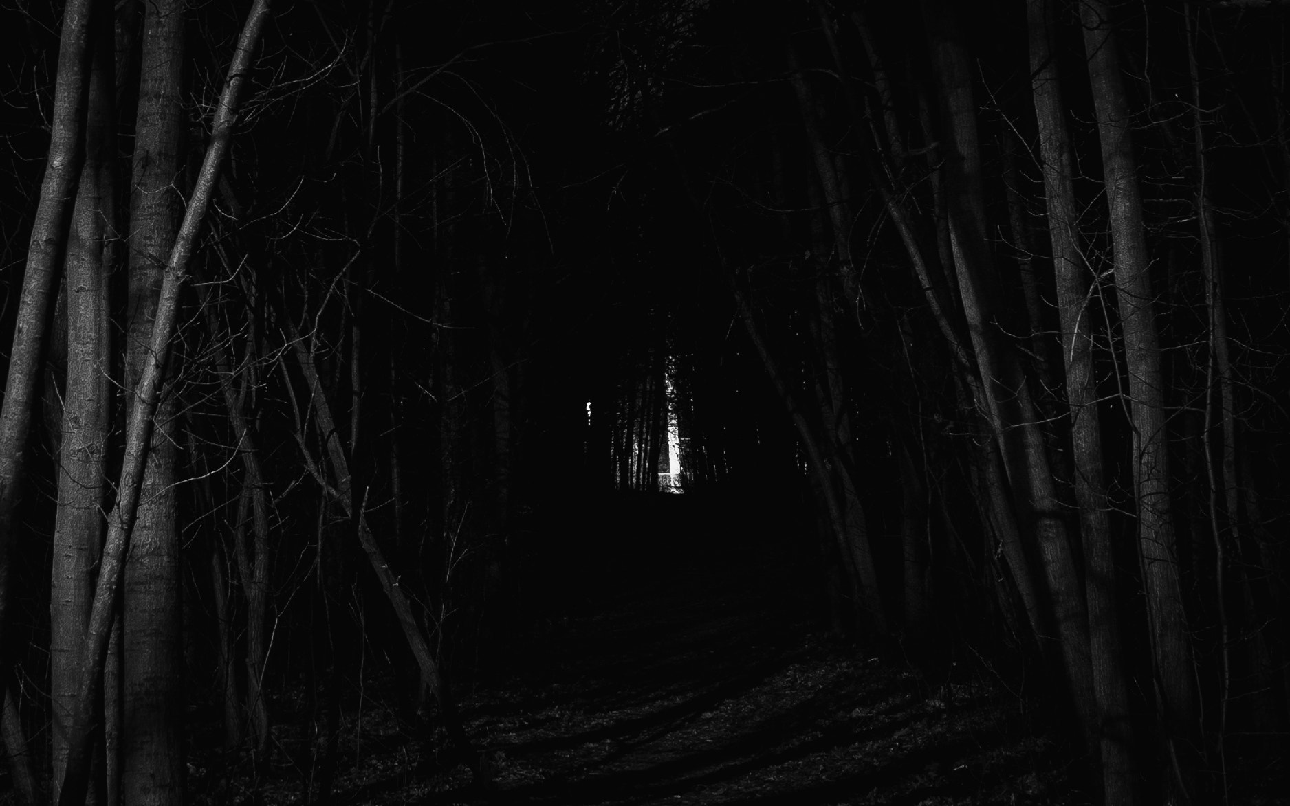 Sony a7 II + Sony Sonnar T* FE 35mm F2.8 ZA sample photo. Stranger things photography