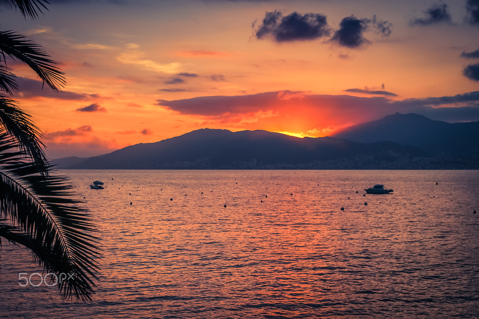 Sigma 18-250mm F3.5-6.3 DC OS HSM sample photo. «summer paradise» photography