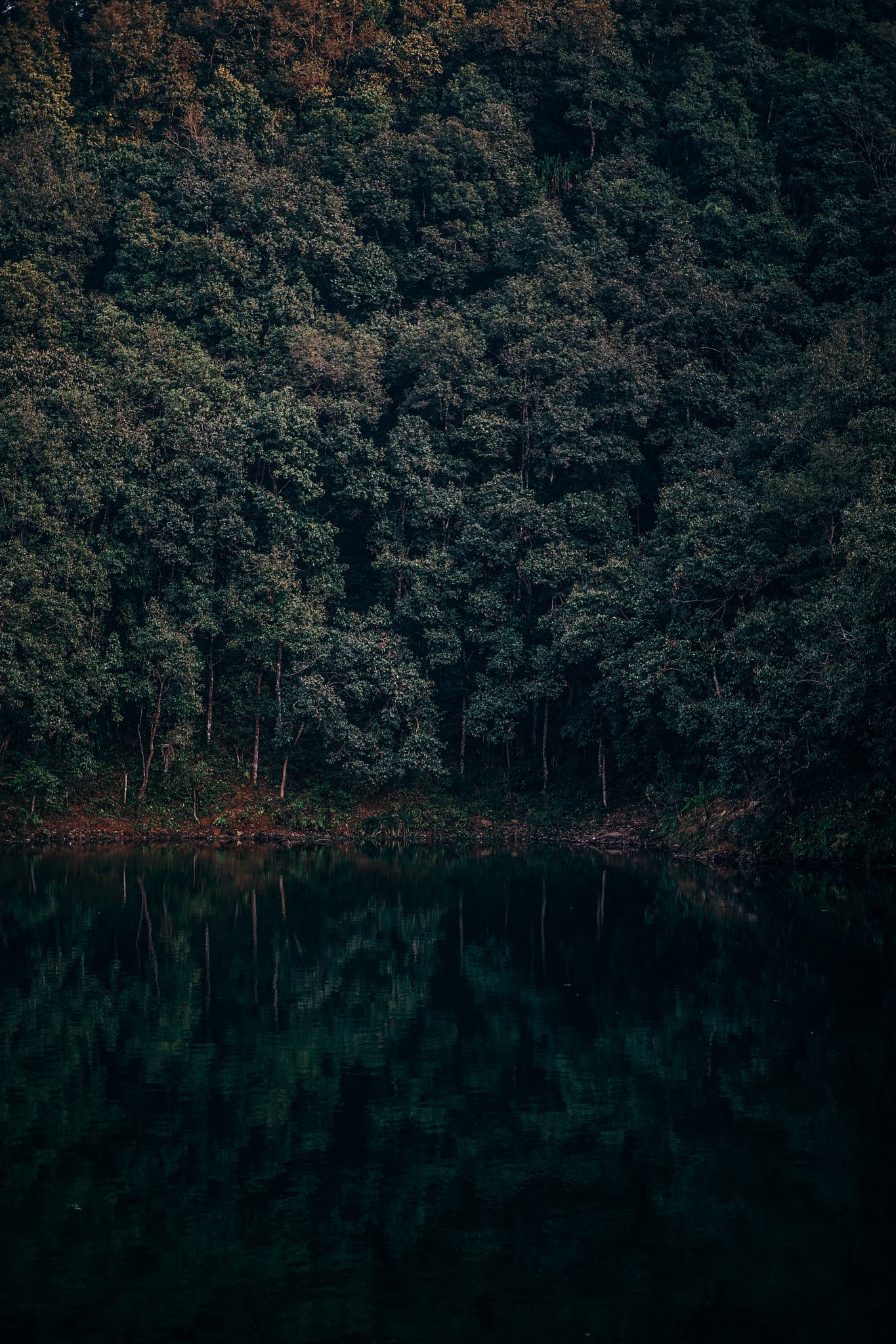 Sony a7 II + DT 85mm F1.8 SAM sample photo. Lake reflections photography