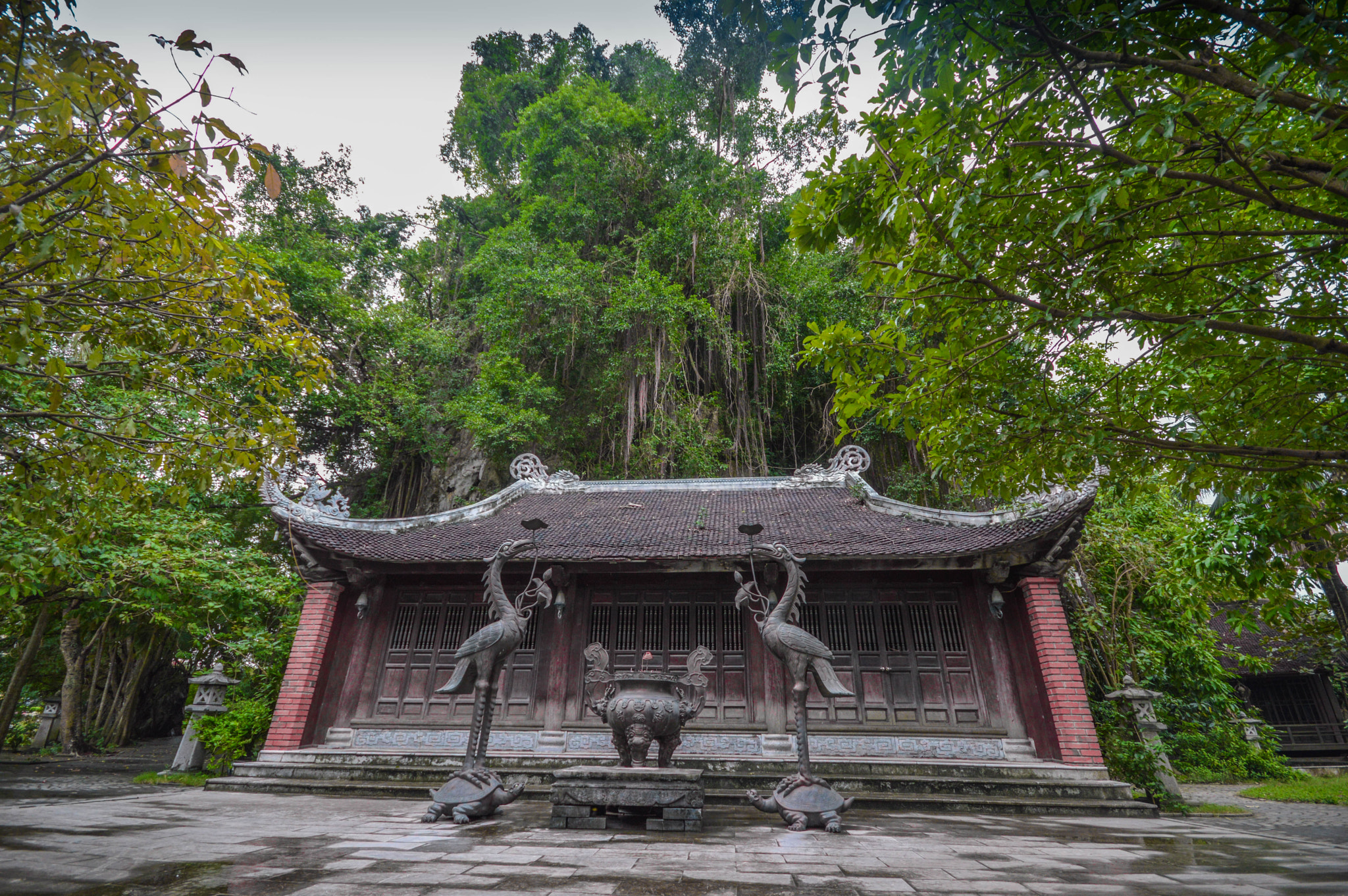 Sigma 10-20mm F4-5.6 EX DC HSM sample photo. Ninh binh, vietnam photography