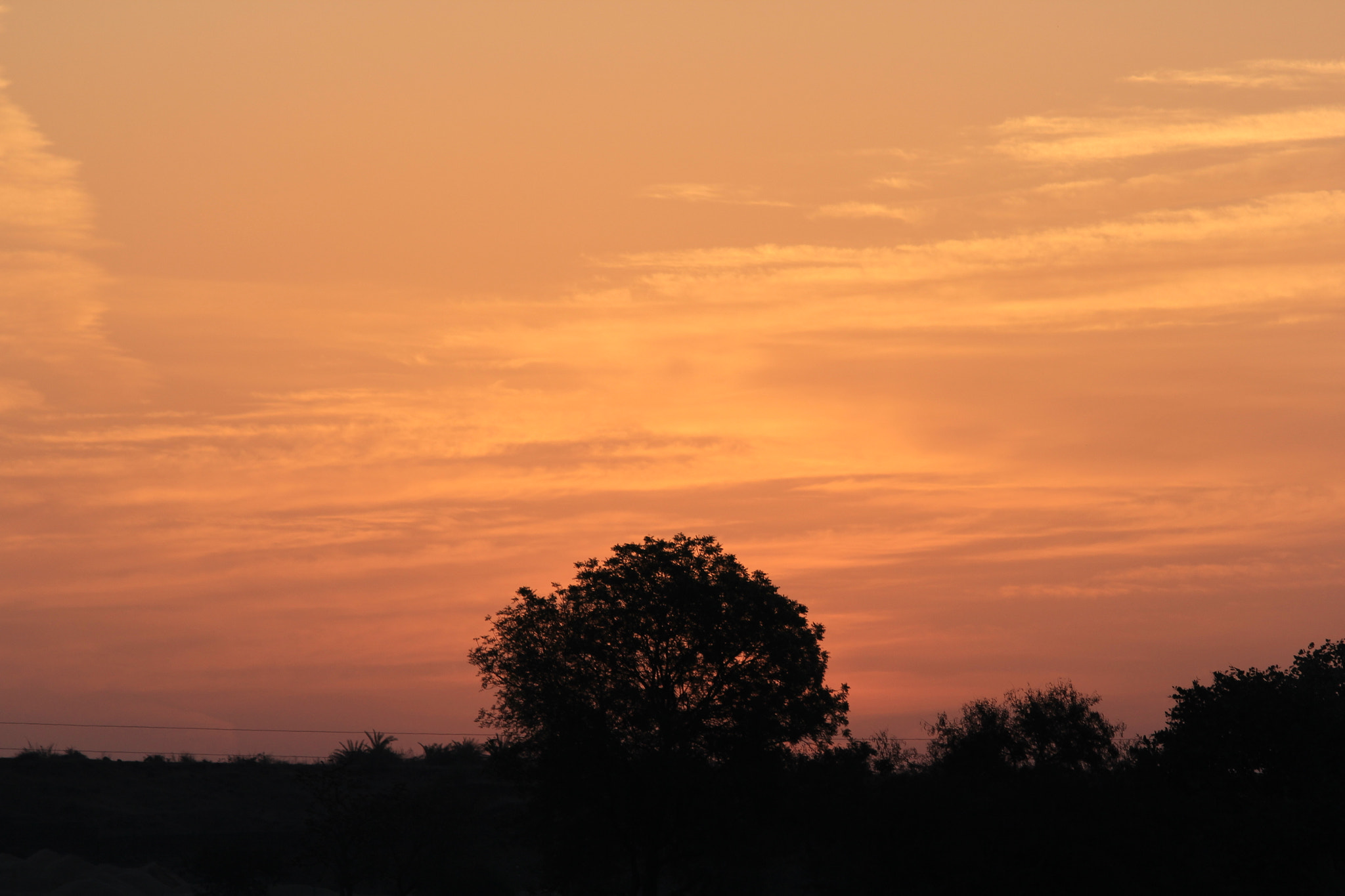 Canon EF 70-300mm F4-5.6 IS USM sample photo