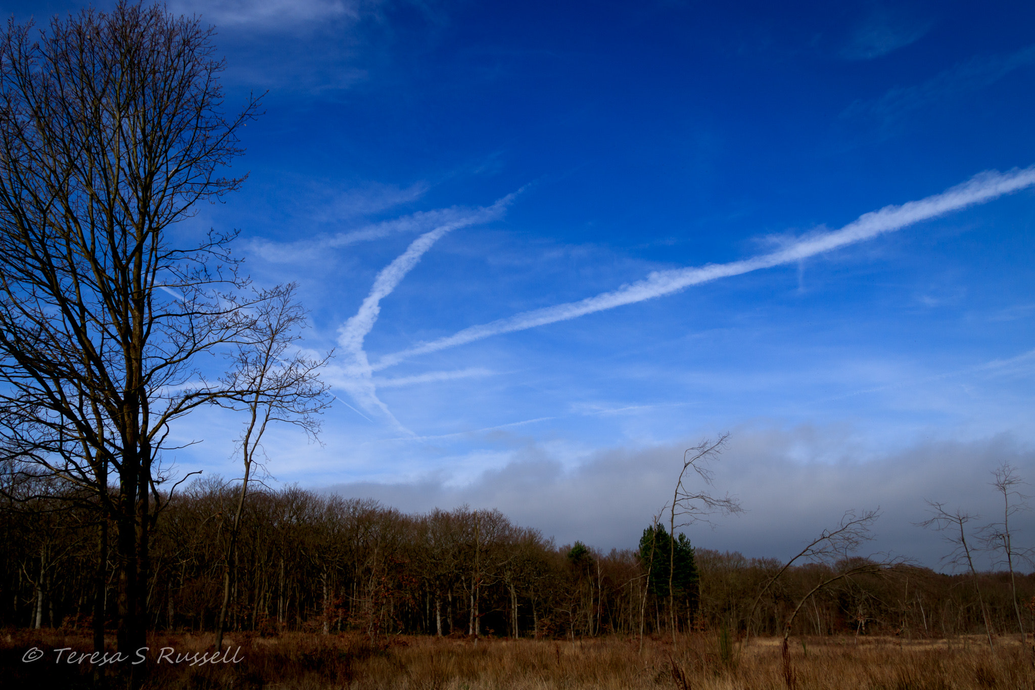 Canon EOS 760D (EOS Rebel T6s / EOS 8000D) sample photo. Blue sky and clouds photography