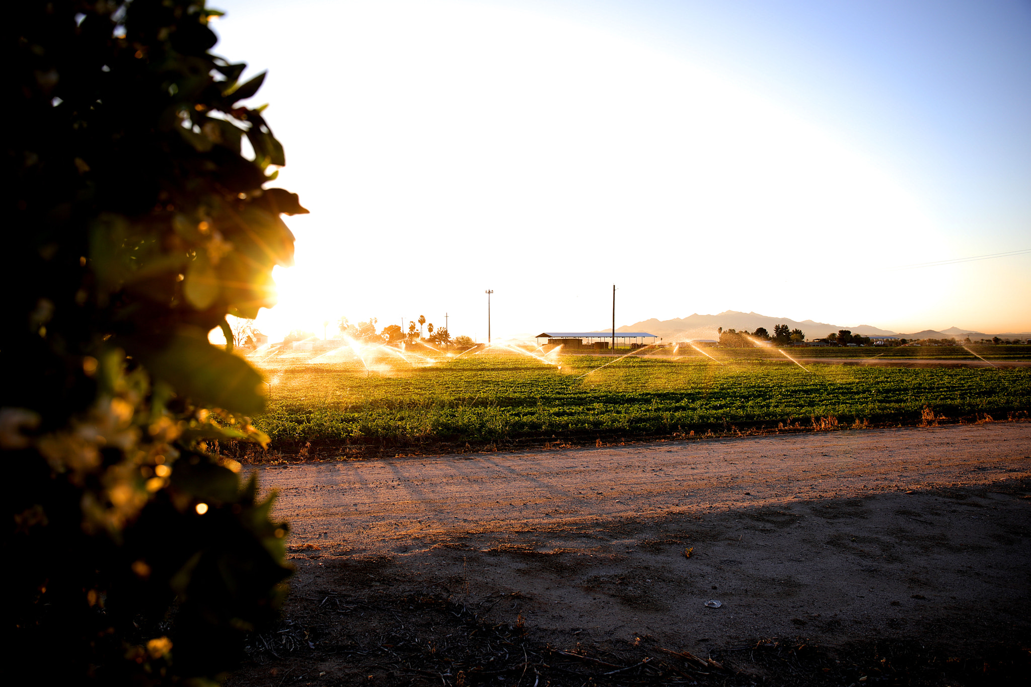 Canon EF 24-70mm F4L IS USM sample photo. Fullsizeoutput e photography