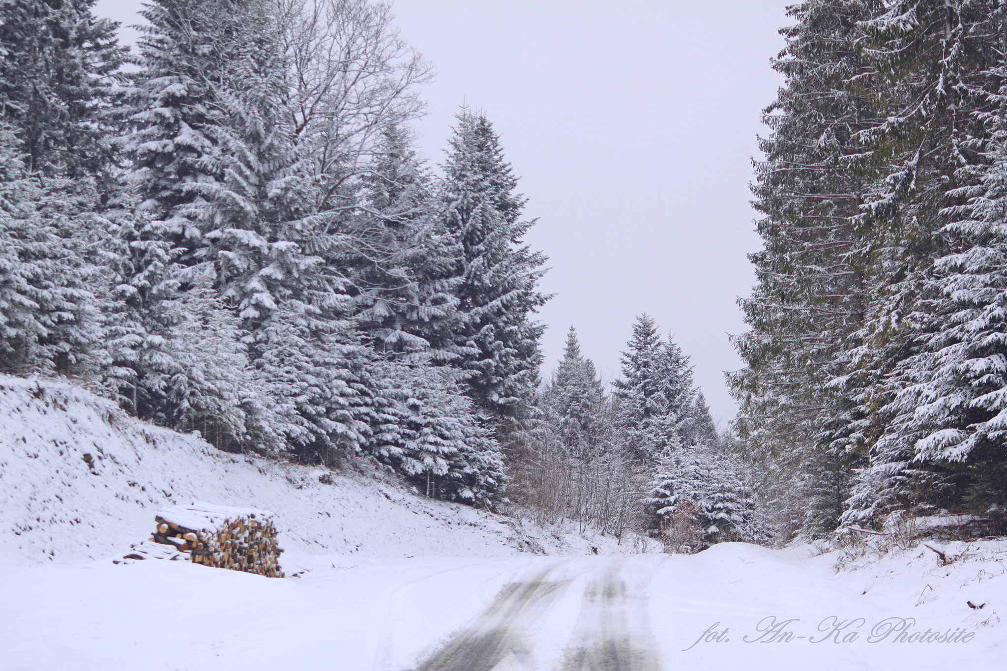 Canon EOS 500D (EOS Rebel T1i / EOS Kiss X3) + Sigma 50-200mm F4-5.6 DC OS HSM sample photo. Winter is coming photography