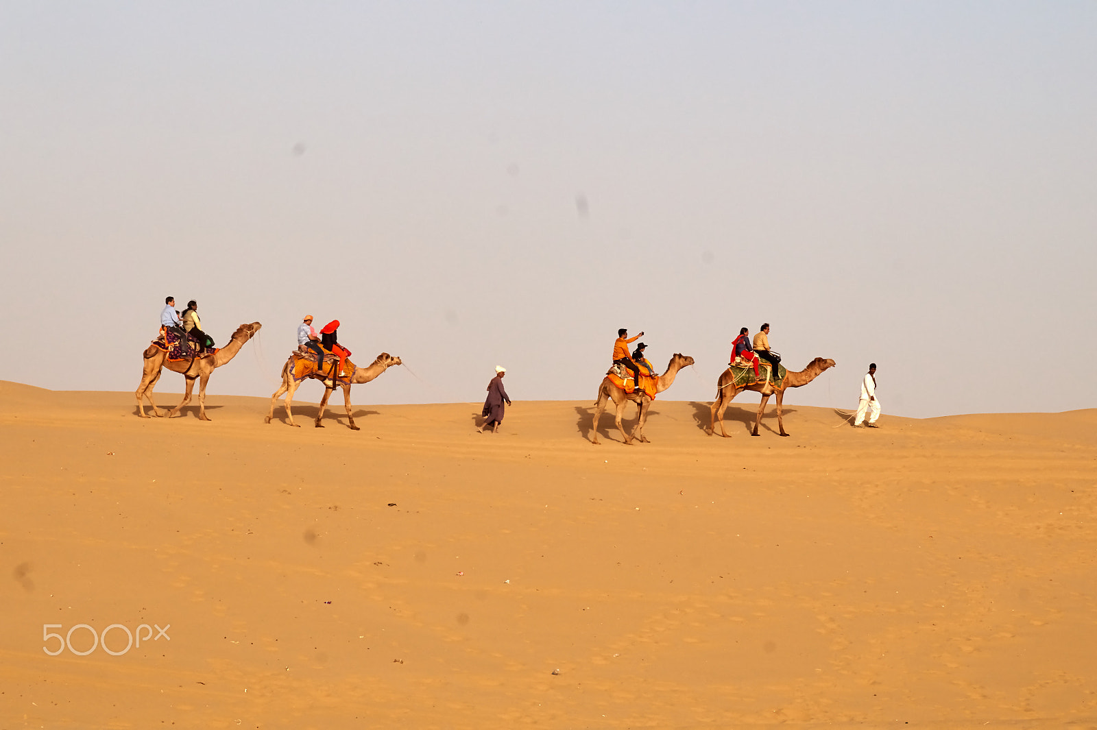 Sony DT 18-135mm F3.5-5.6 SAM sample photo. Camel safari in thar desert, jaisalmer photography