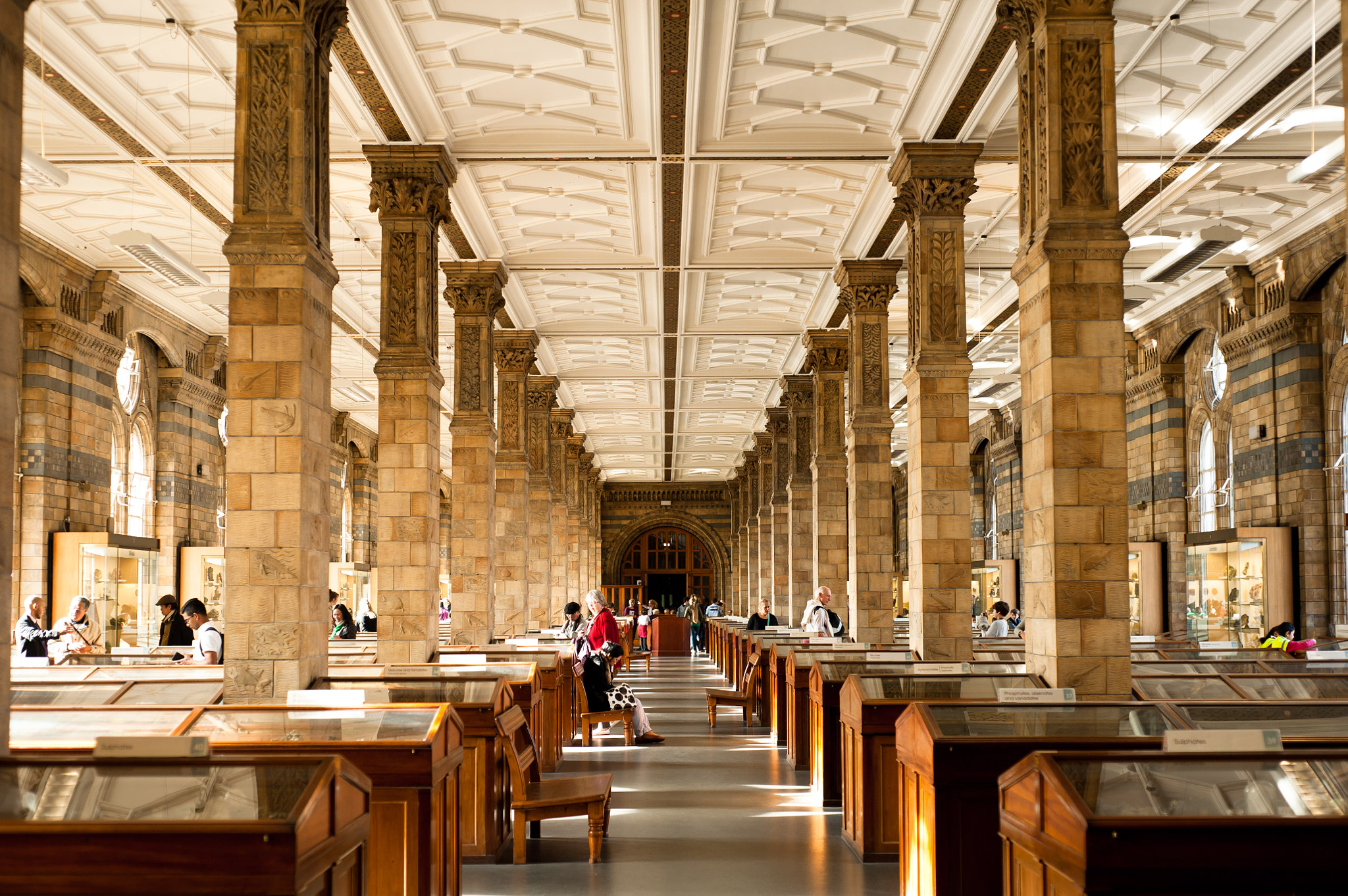 Nikon D700 + Nikon AF Nikkor 50mm F1.8D sample photo. Natural history museum london photography