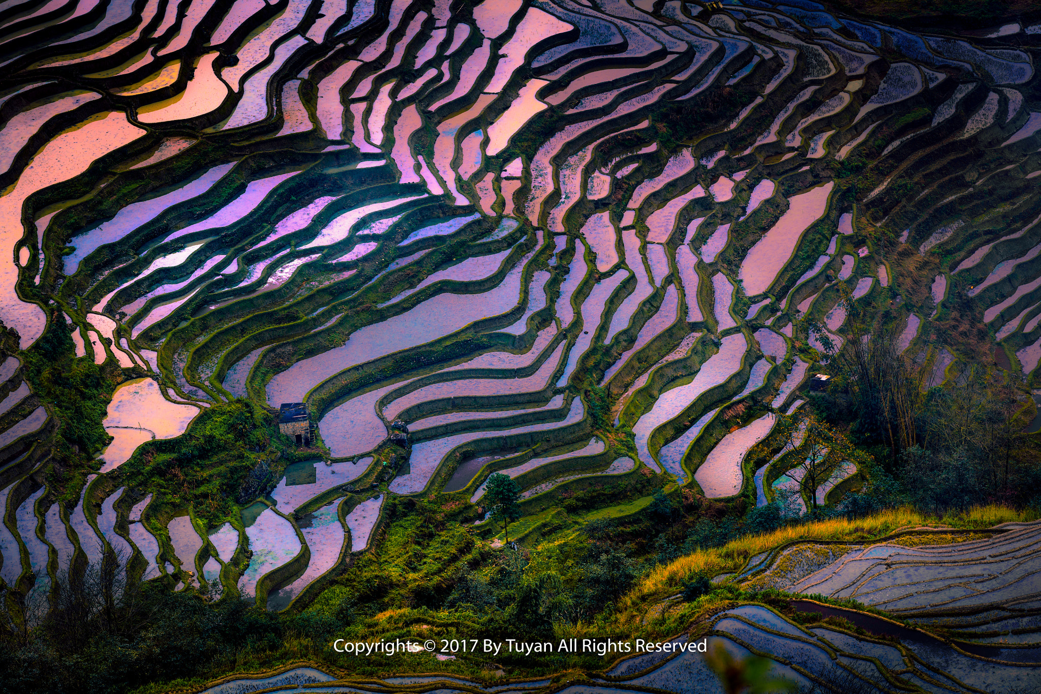 Canon EOS 5DS R sample photo. 岁初进山，兀坐高岗。看看林花，听听流泉。风来复去，云往自还。处之以默，不谈因缘… photography