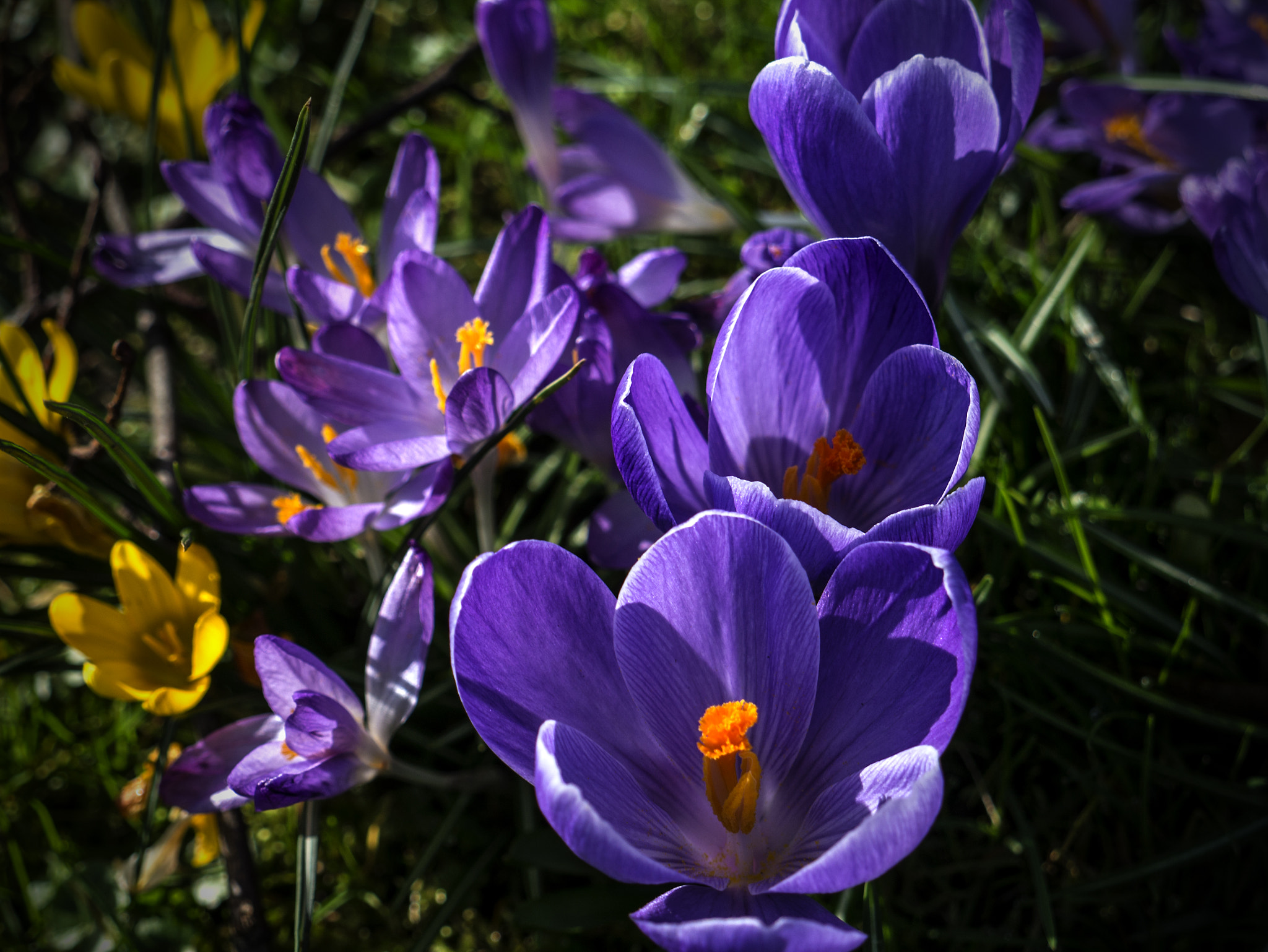 Panasonic Lumix DMC-G3 sample photo. Kaiserpfalz photography