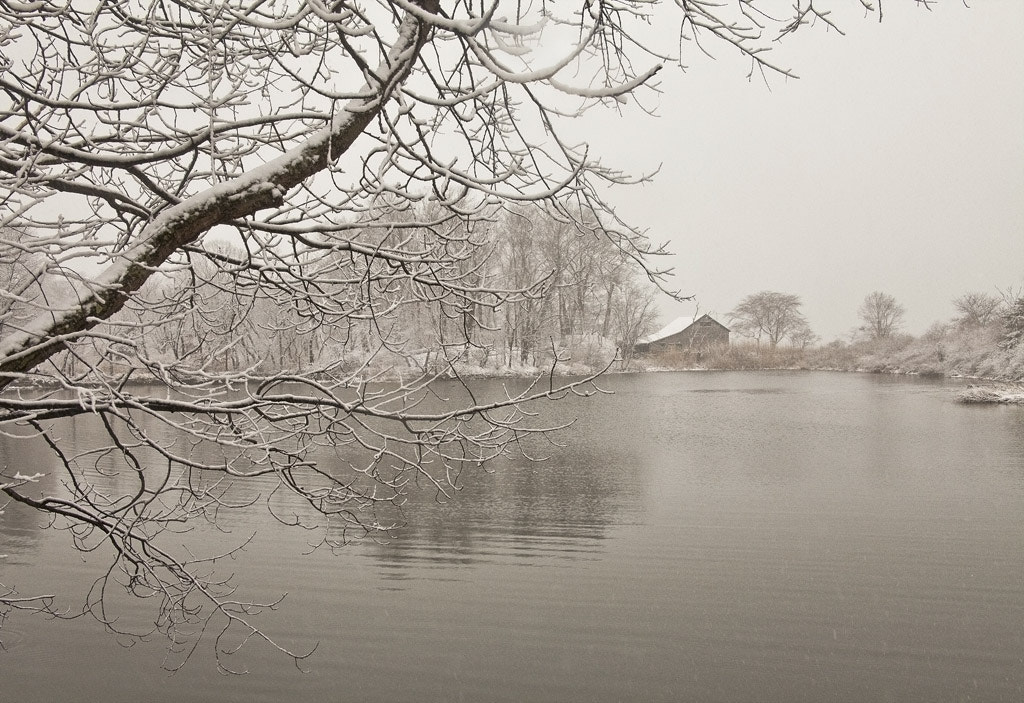 Canon EF 28-135mm F3.5-5.6 IS USM sample photo. Snow at the point, greenwich, ct, 2017 photography