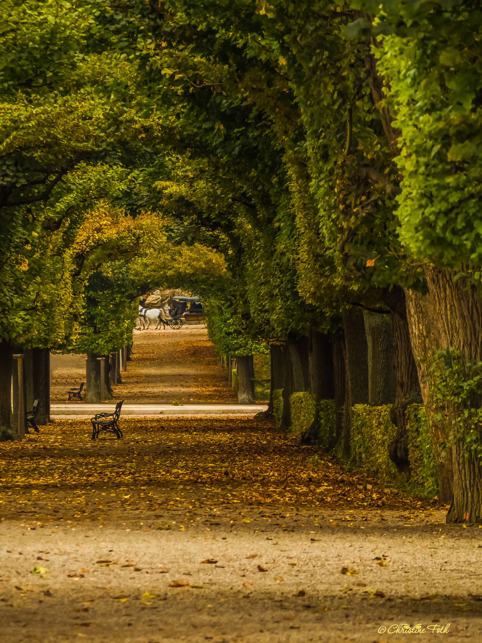 Olympus OM-D E-M5 II sample photo. Bank in the avenue photography