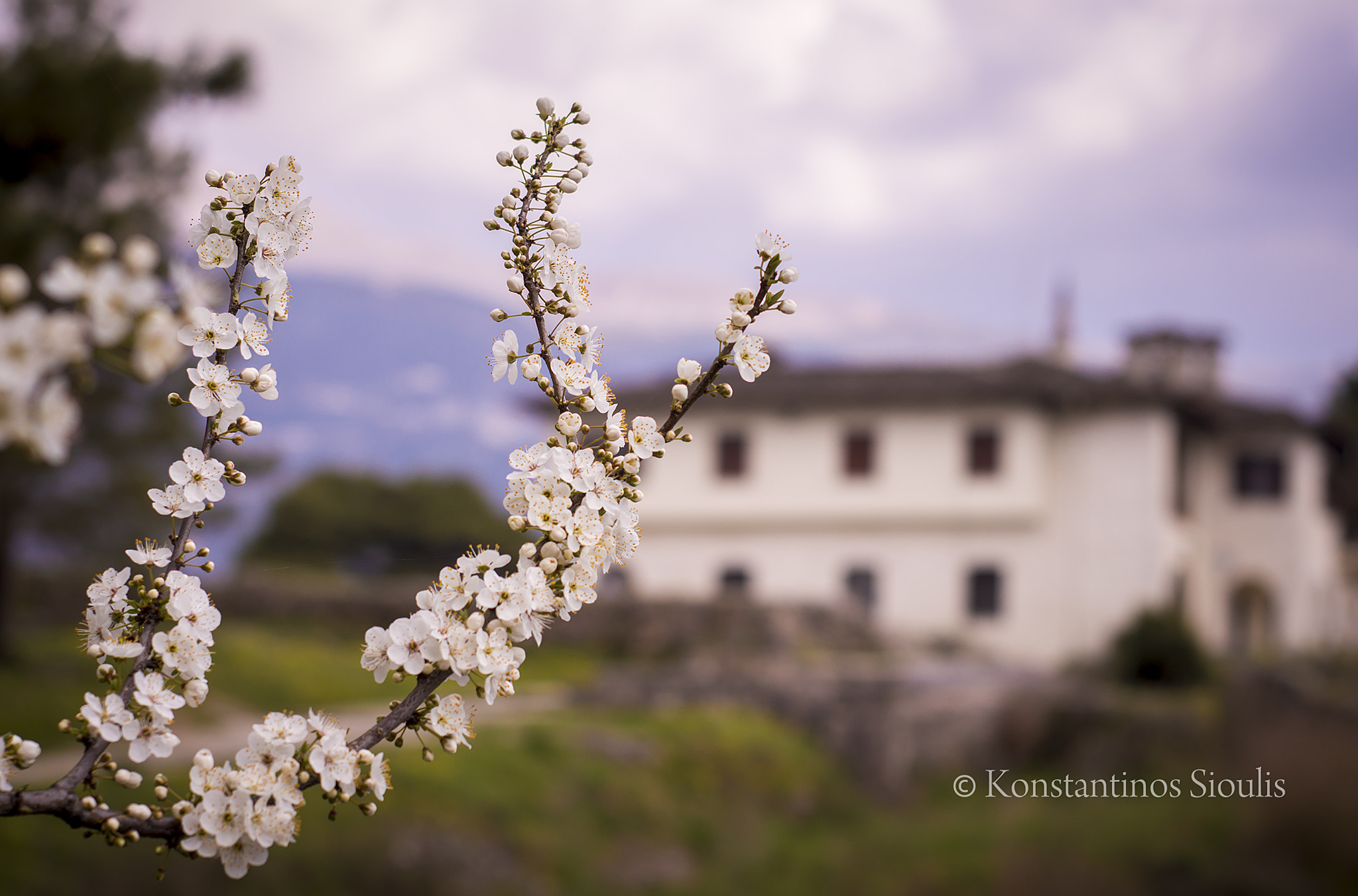 Nikon D3200 sample photo