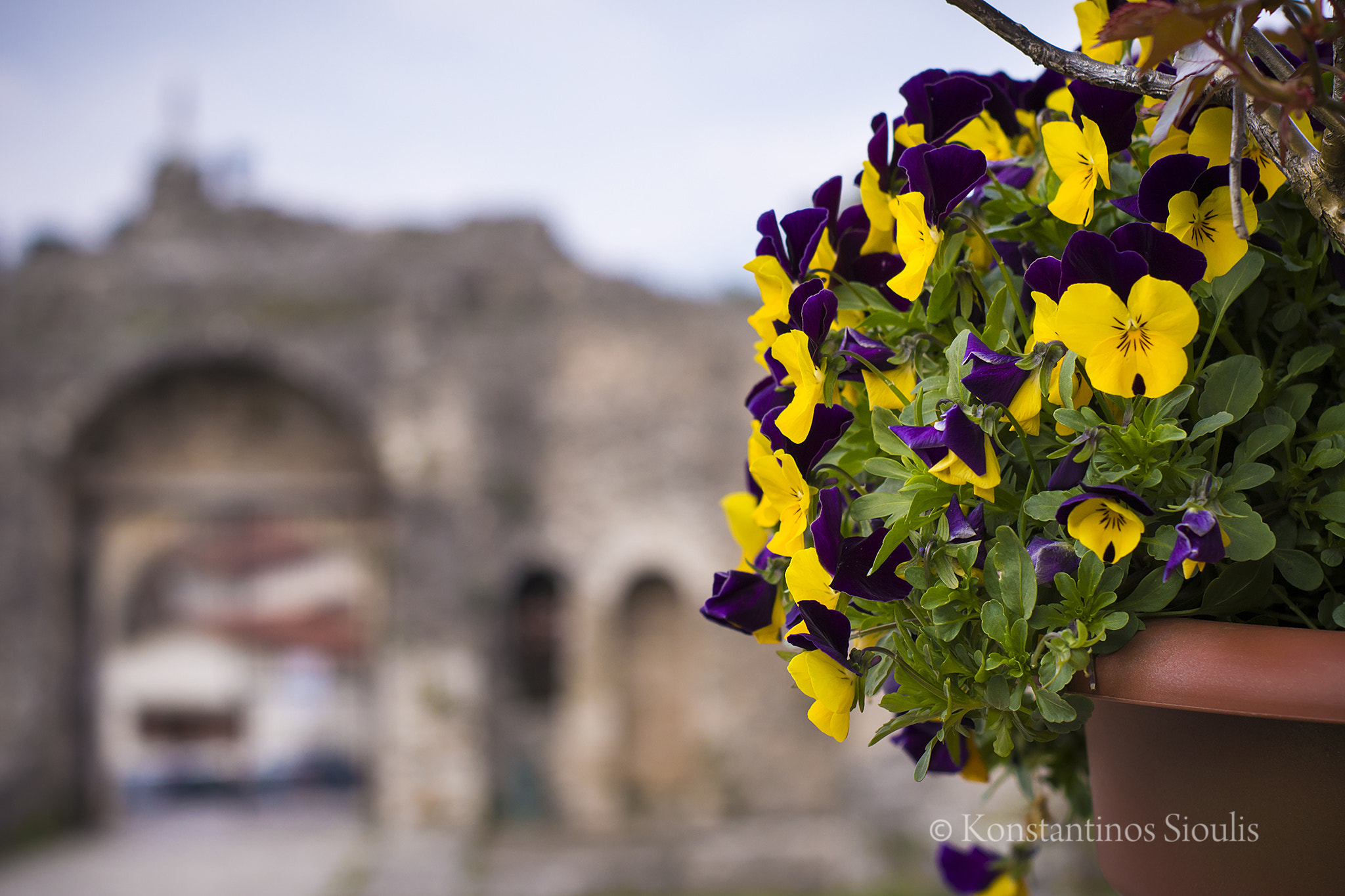 Nikon D3200 sample photo