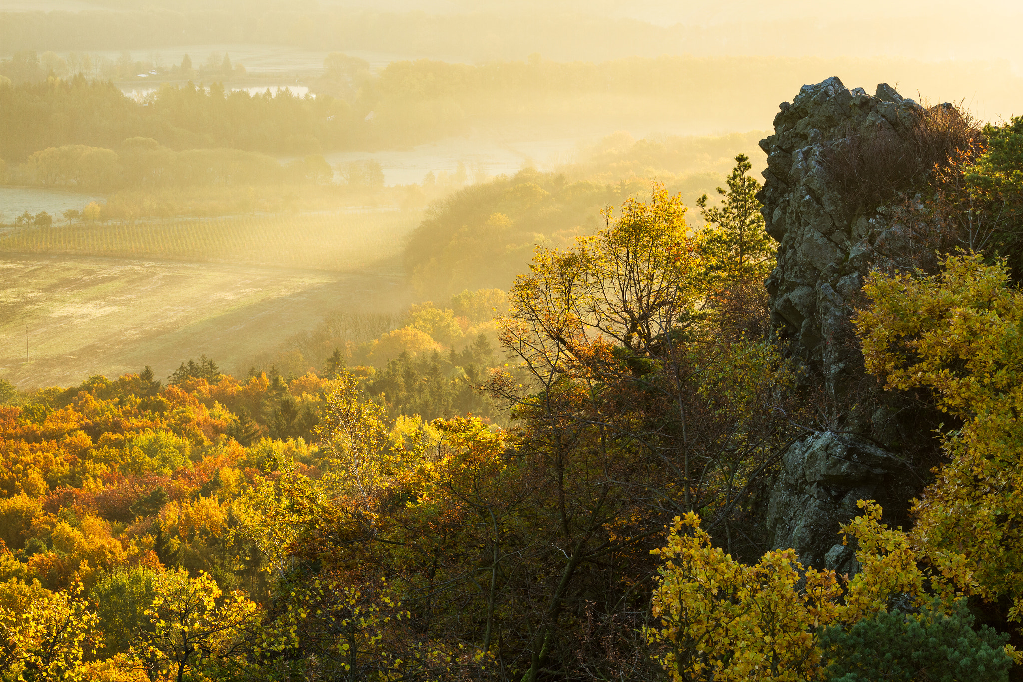 Canon EOS 7D + Canon EF 70-200mm F4L IS USM sample photo. Autumn morning at trojhora photography