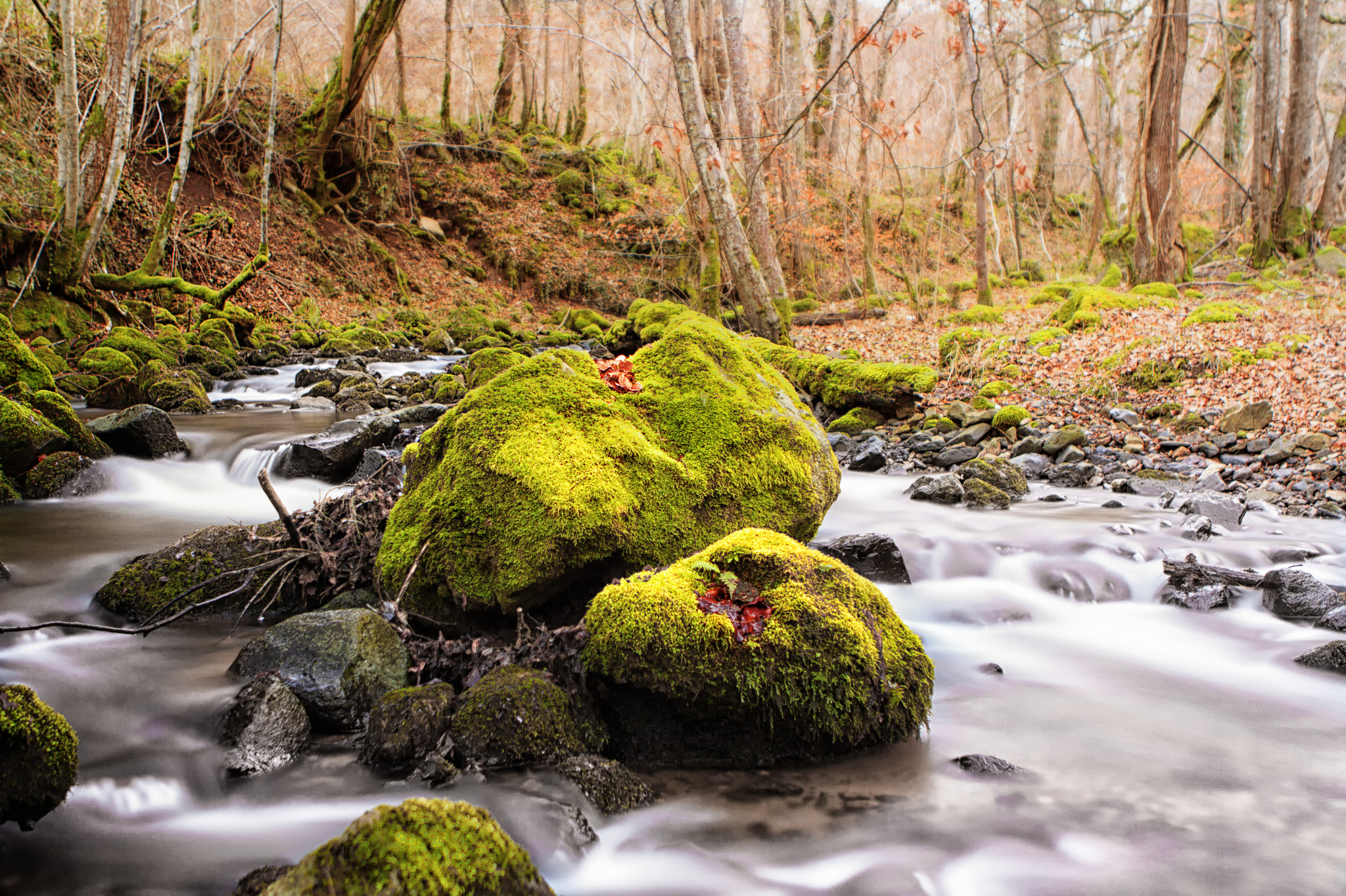 Canon EOS 7D + Canon EF 24-70mm F2.8L USM sample photo. Img photography