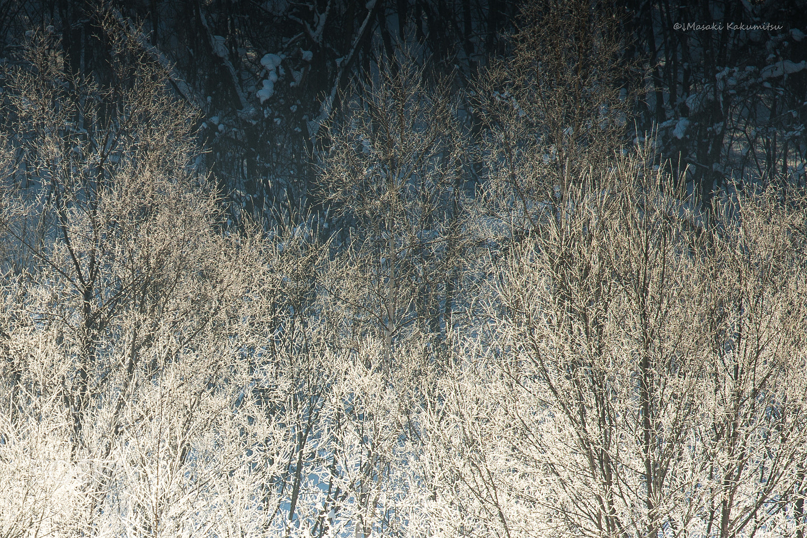 Canon EF 70-200mm F4L IS USM sample photo. Flood photography