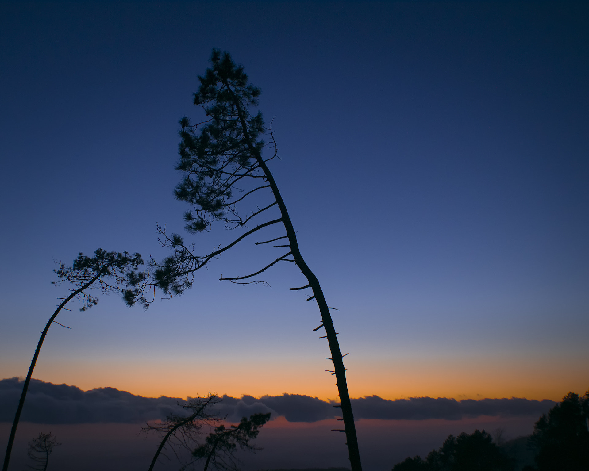 Pentax K-x sample photo. Il tramonto della natura (nature' sunset) photography