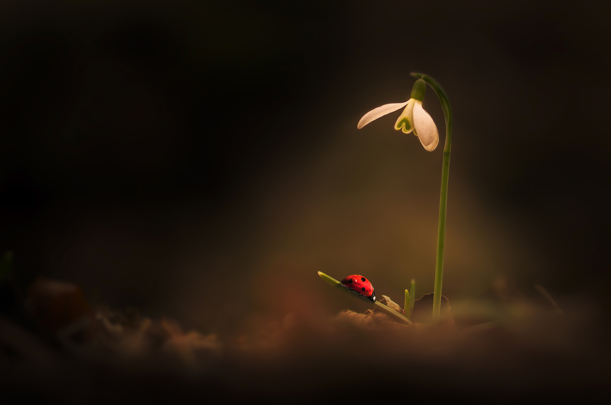 Sigma 105mm F2.8 EX DG OS HSM sample photo. Small night light photography