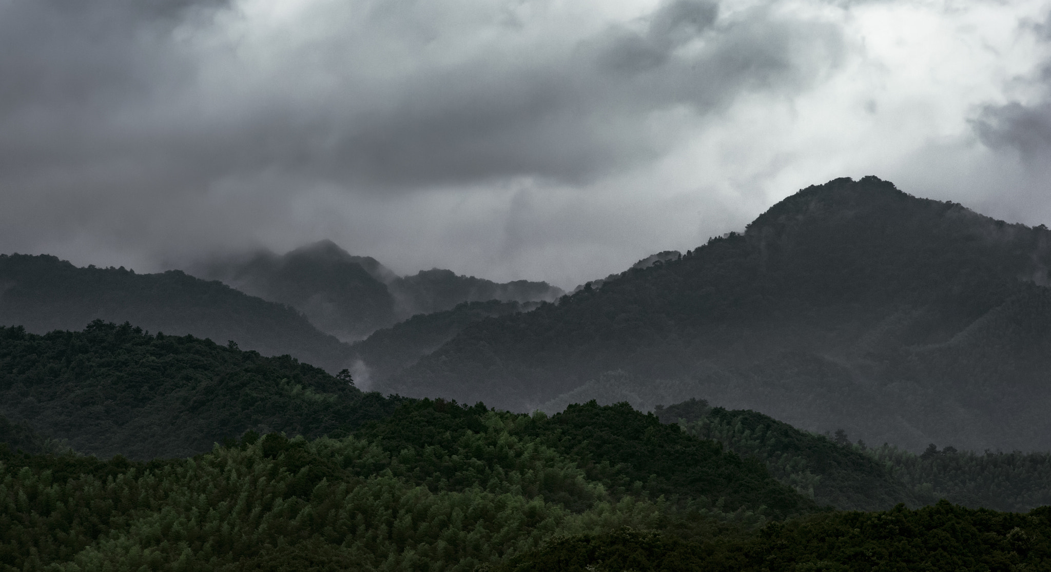 Nikon AF-S Nikkor 70-200mm F2.8G ED VR II sample photo