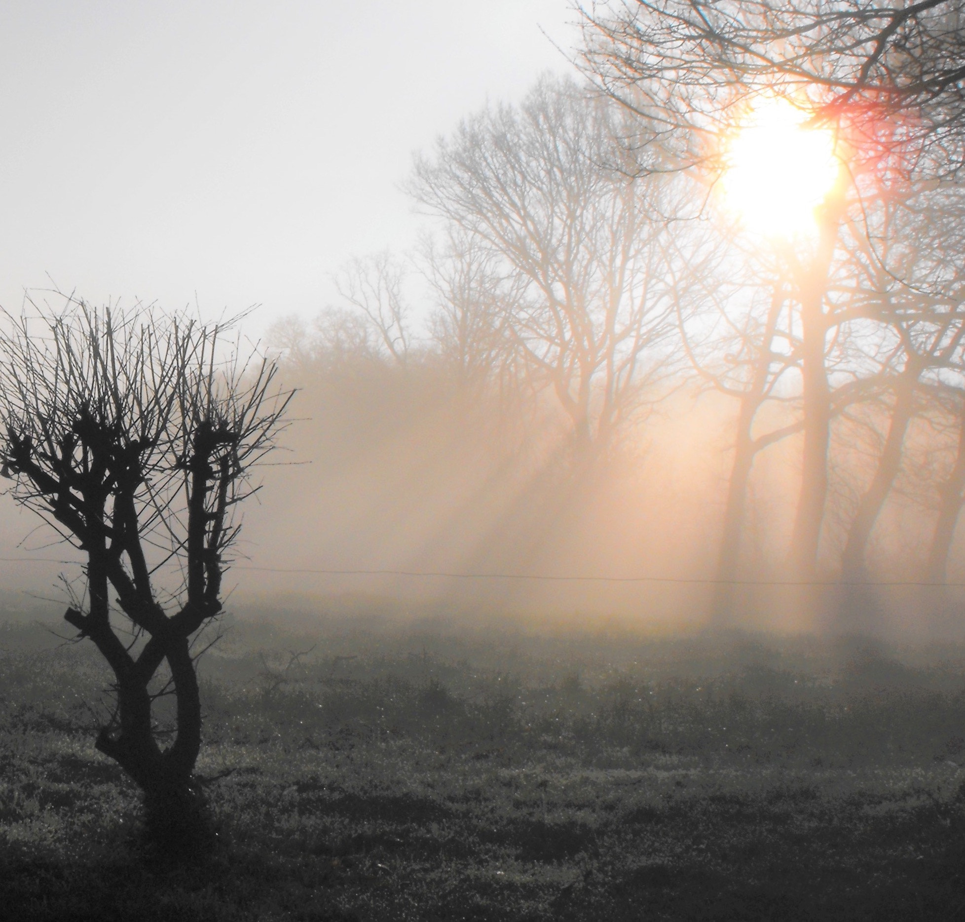 Fujifilm FinePix S1000fd sample photo. A misty dawn with promise of sunshine photography