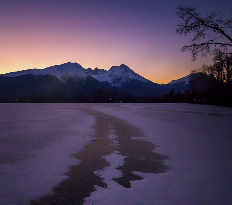 Olympus OM-D E-M10 sample photo. Winter light - 25 degrees photography