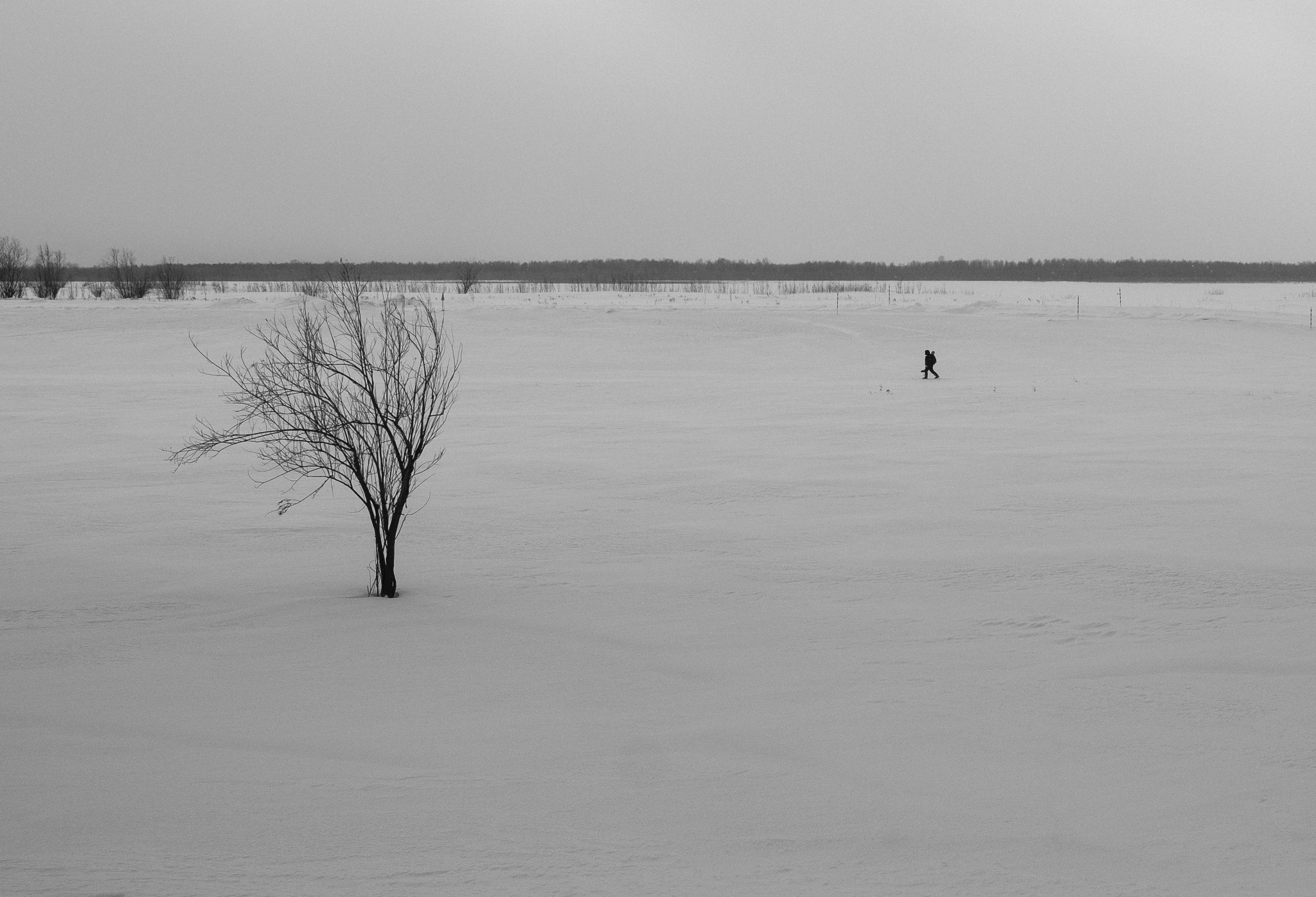 Fujifilm X-T2 + Fujifilm XF 23mm F2 R WR sample photo. Нижневартовск photography