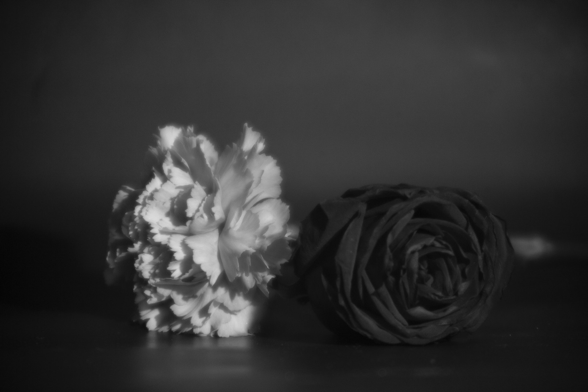 Canon EF 28-70mm f/3.5-4.5 sample photo. 01 flores photography