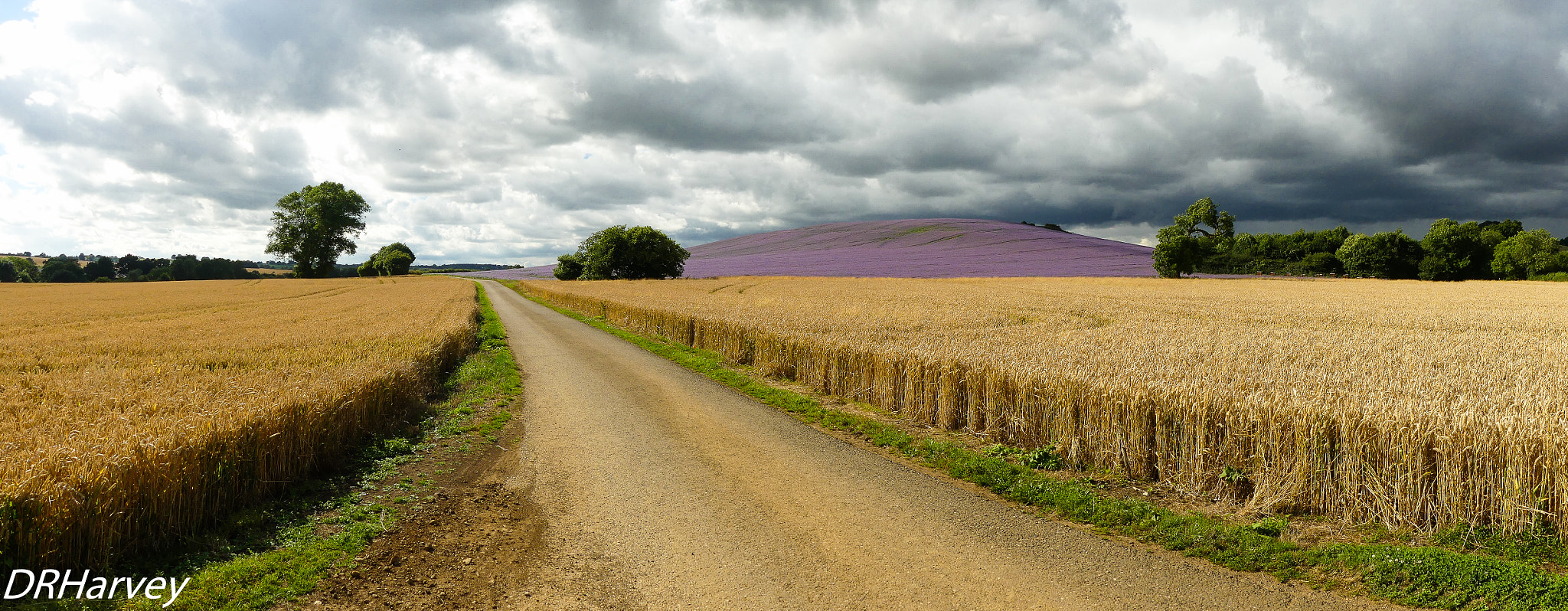 Panasonic DMC-FZ330 sample photo. Country road take me home photography