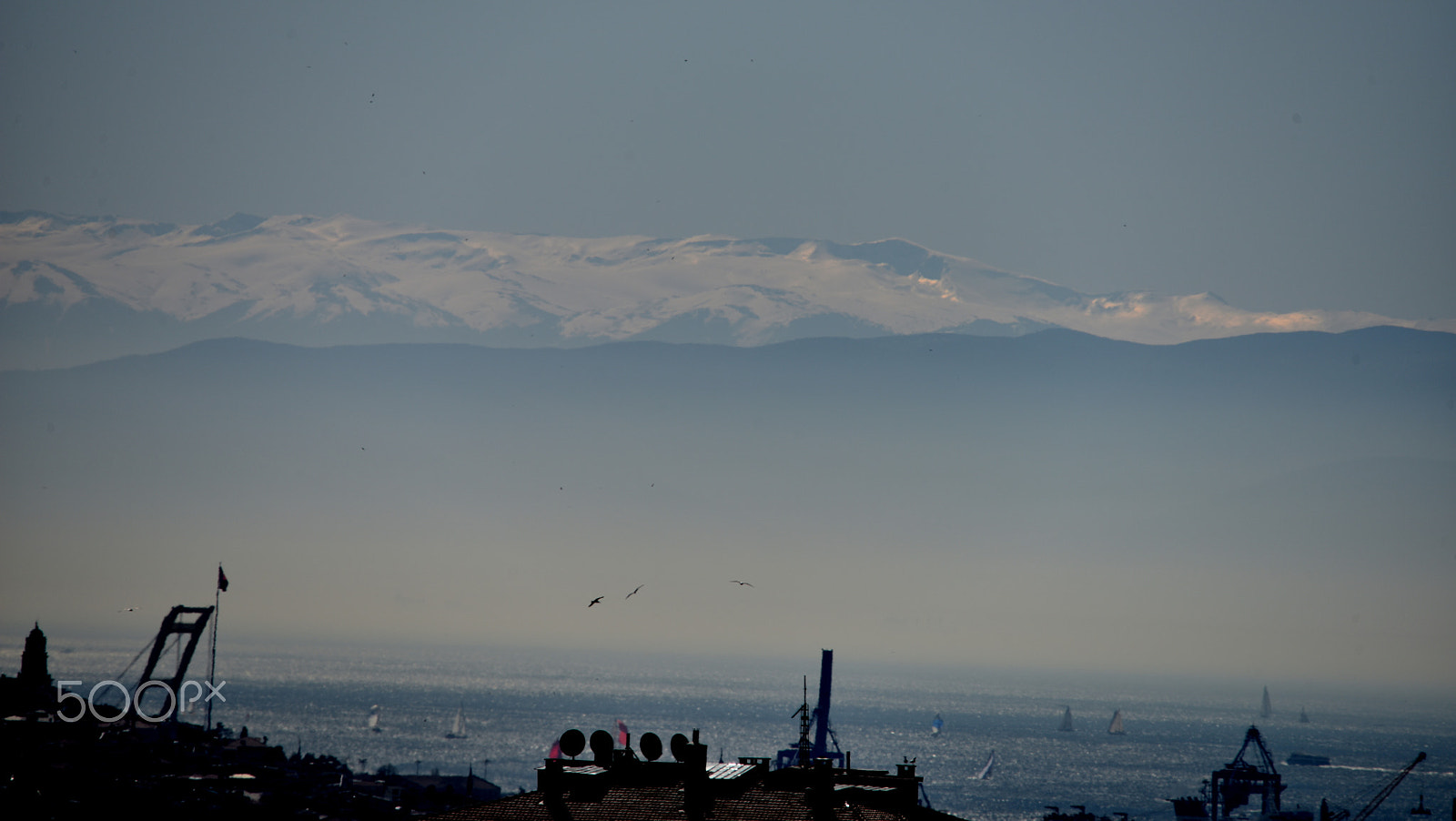 Sigma 150-500mm F5-6.3 DG OS HSM sample photo. Uludağ photography