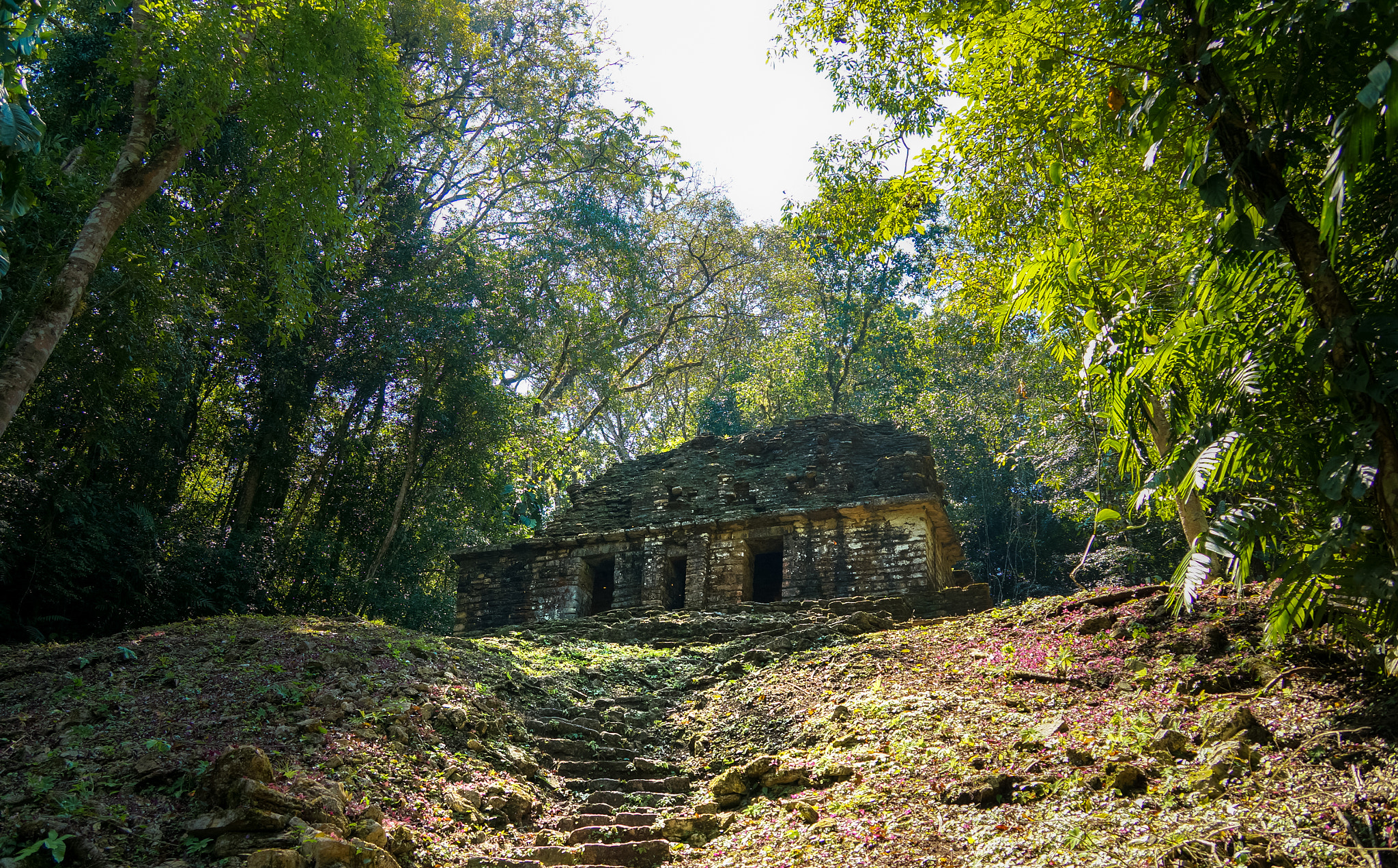 Sony Alpha NEX-5R + Sony E 18-200mm F3.5-6.3 OSS sample photo. Yaxchilan, chiapas photography