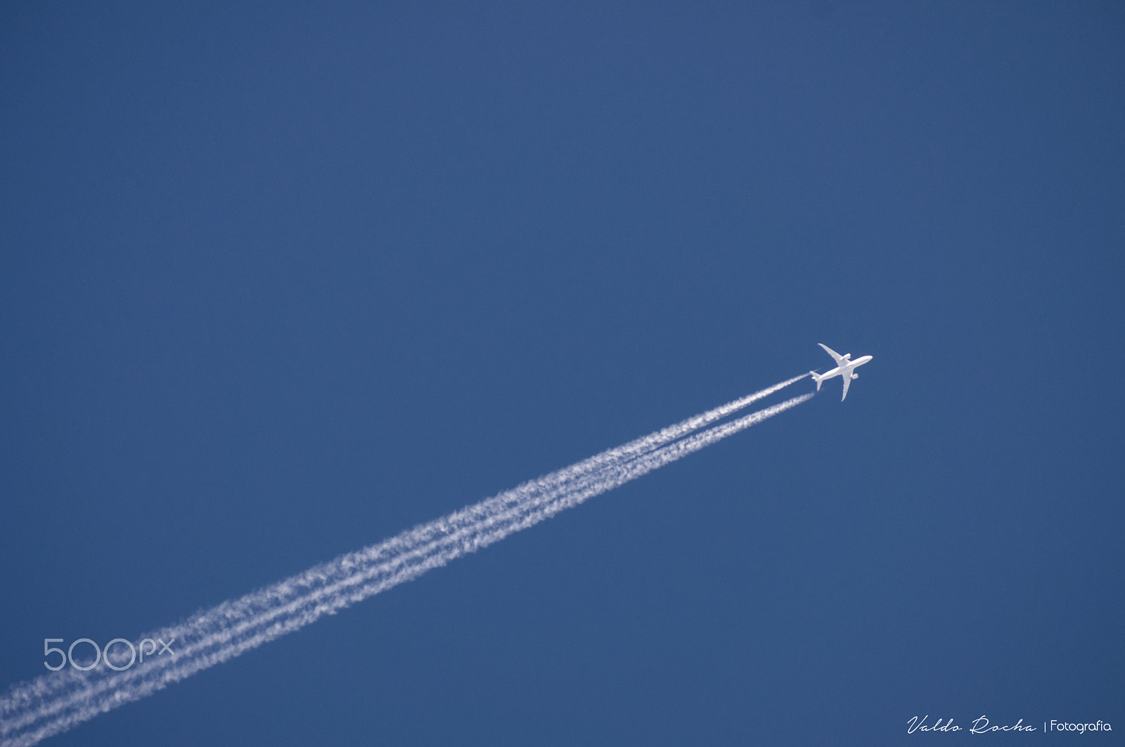 Sigma 18-250mm F3.5-6.3 DC Macro OS HSM sample photo. Fly photography
