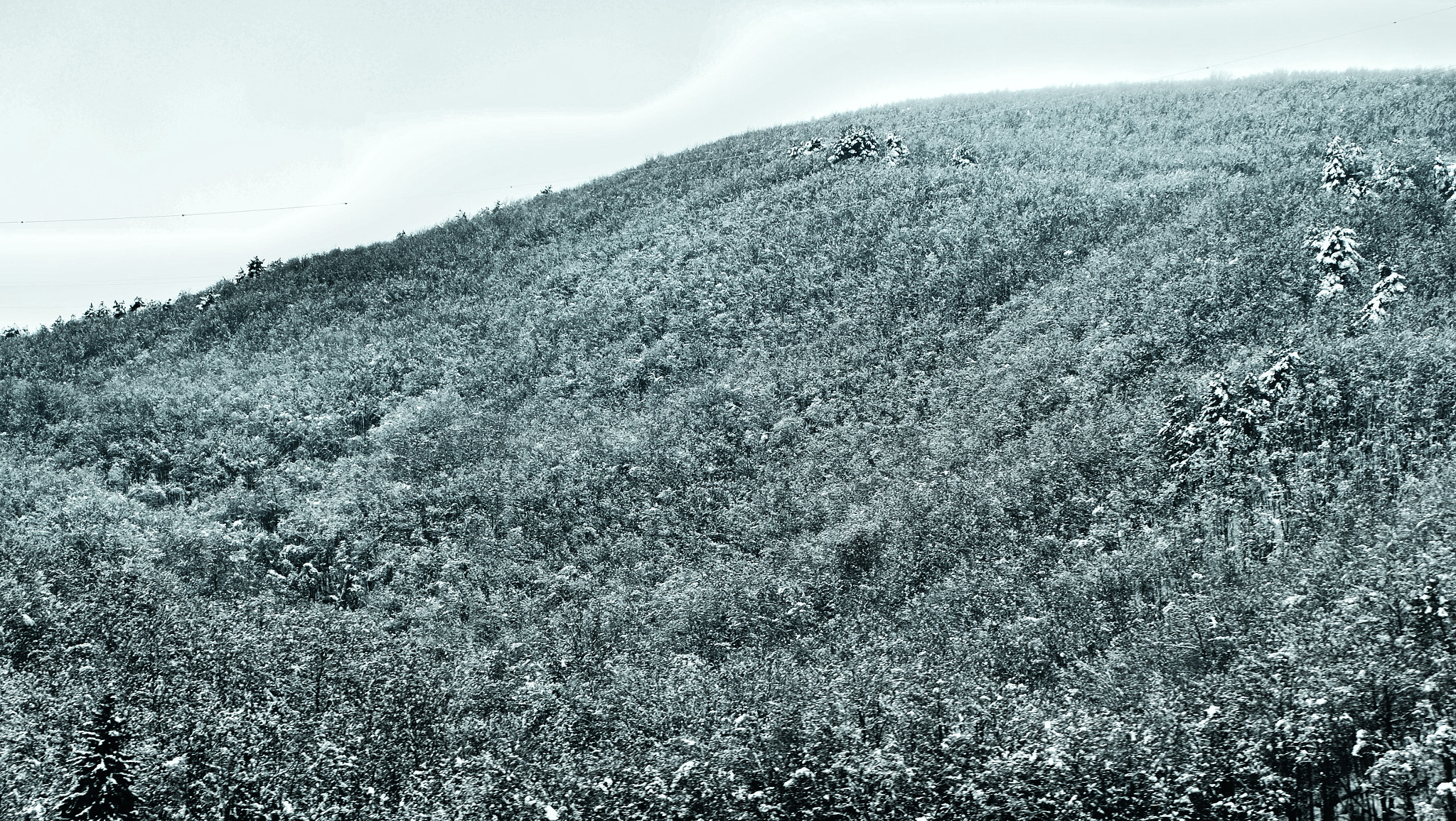 Fujifilm XC 16-50mm F3.5-5.6 OIS sample photo. Italy road photography