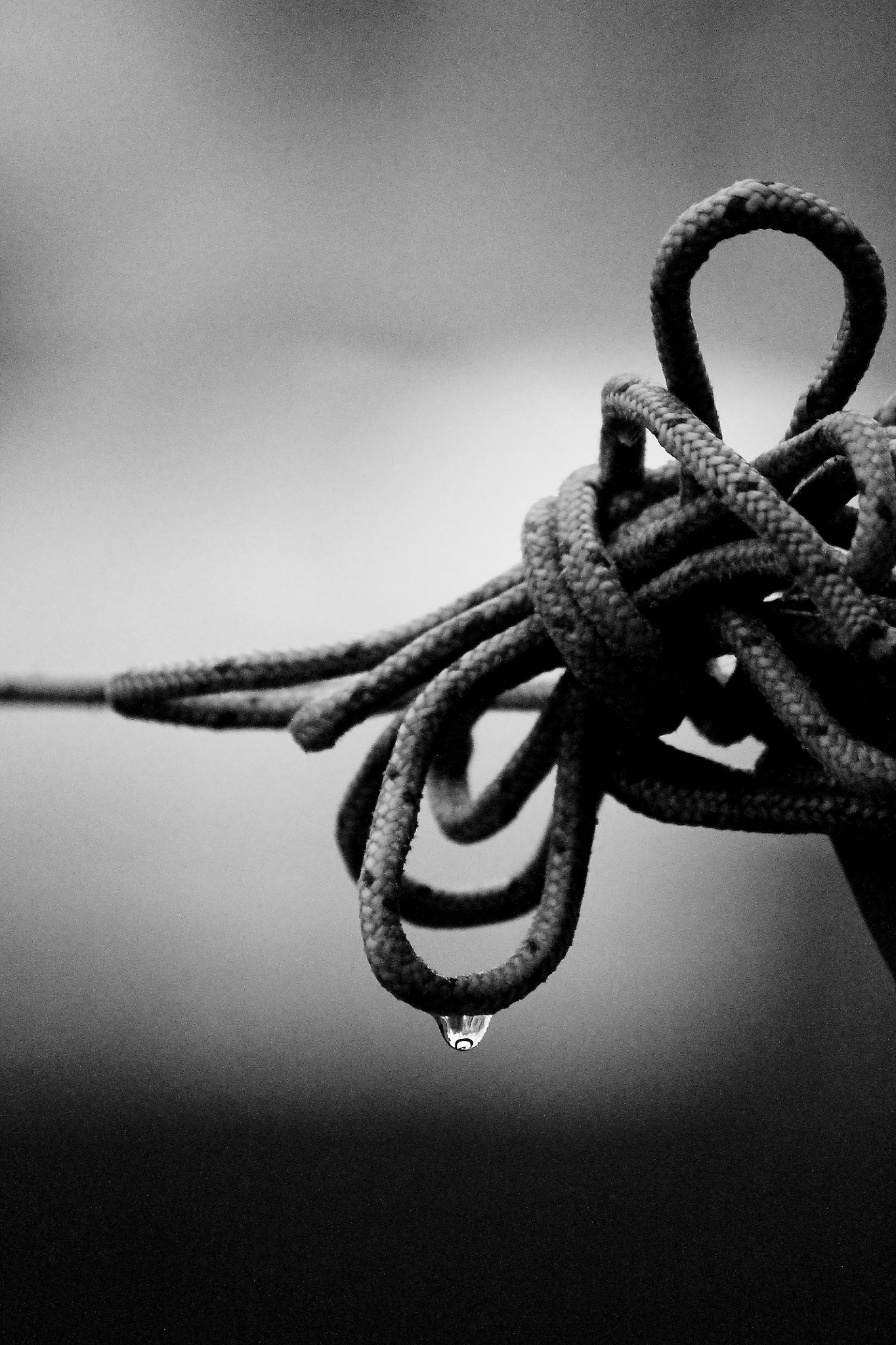 Canon EOS 1100D (EOS Rebel T3 / EOS Kiss X50) sample photo. Knot photography