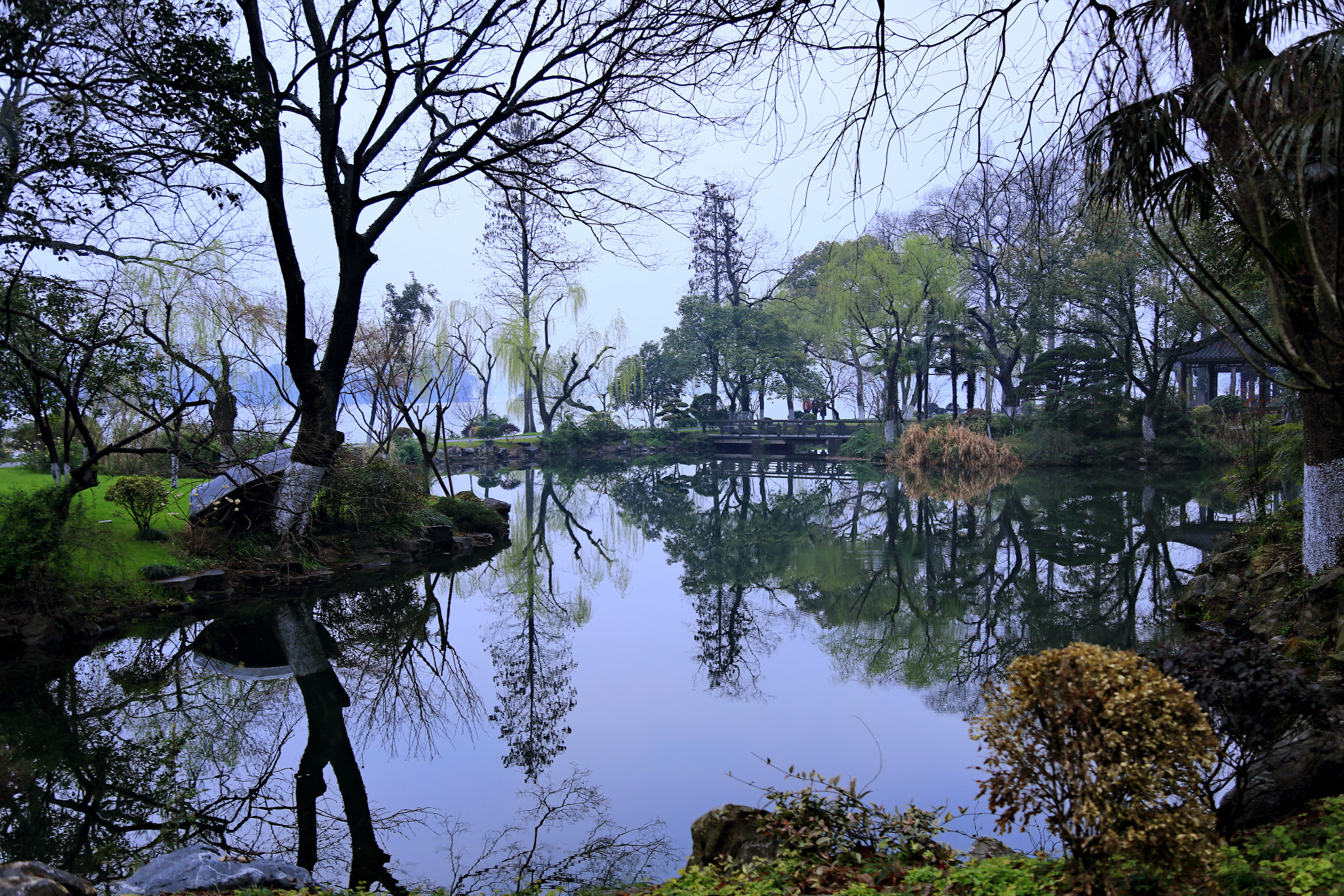 Canon EOS 5DS R sample photo