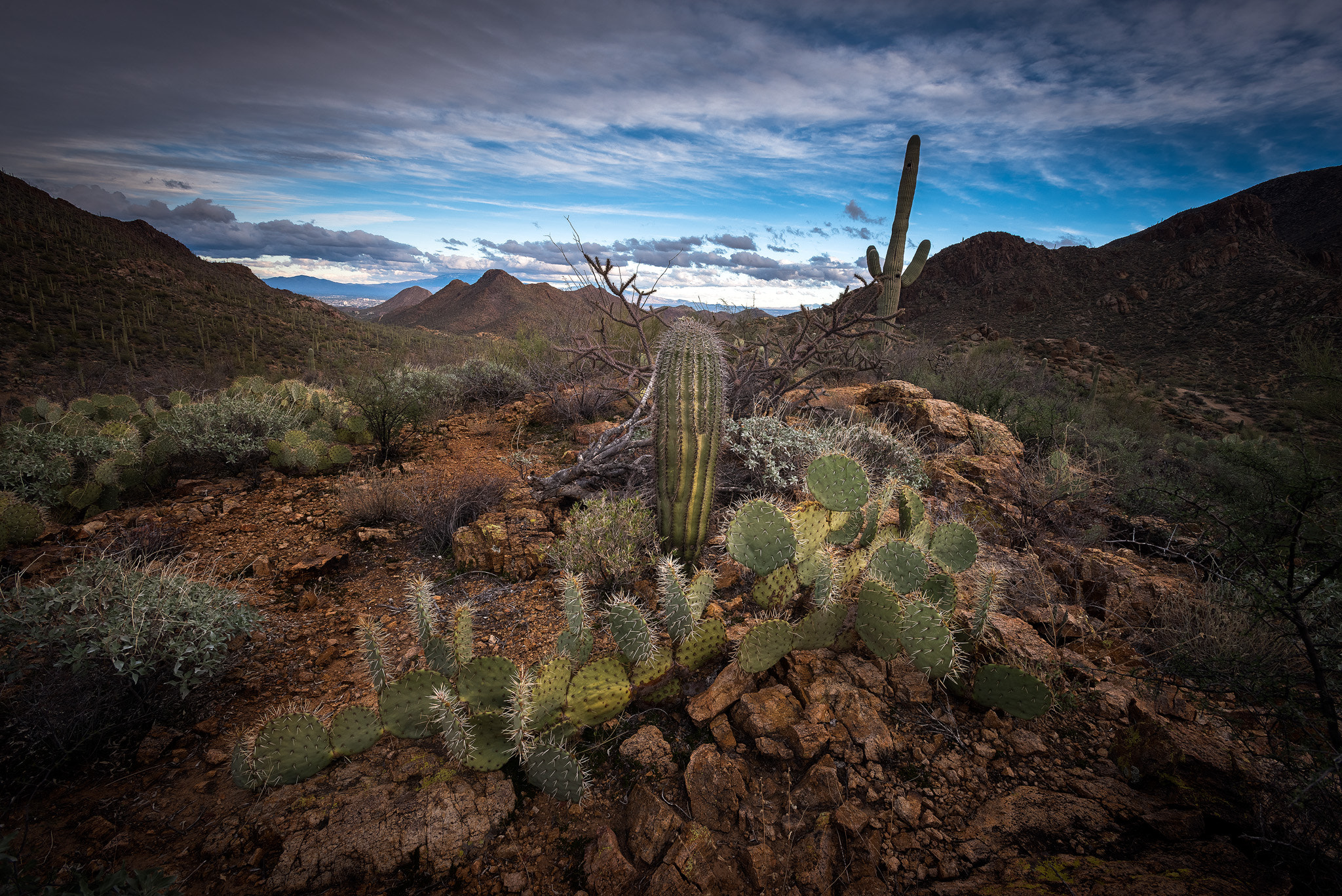 Nikon AF-S Nikkor 17-35mm F2.8D ED-IF sample photo. Arizona sonora dessert sunset photography